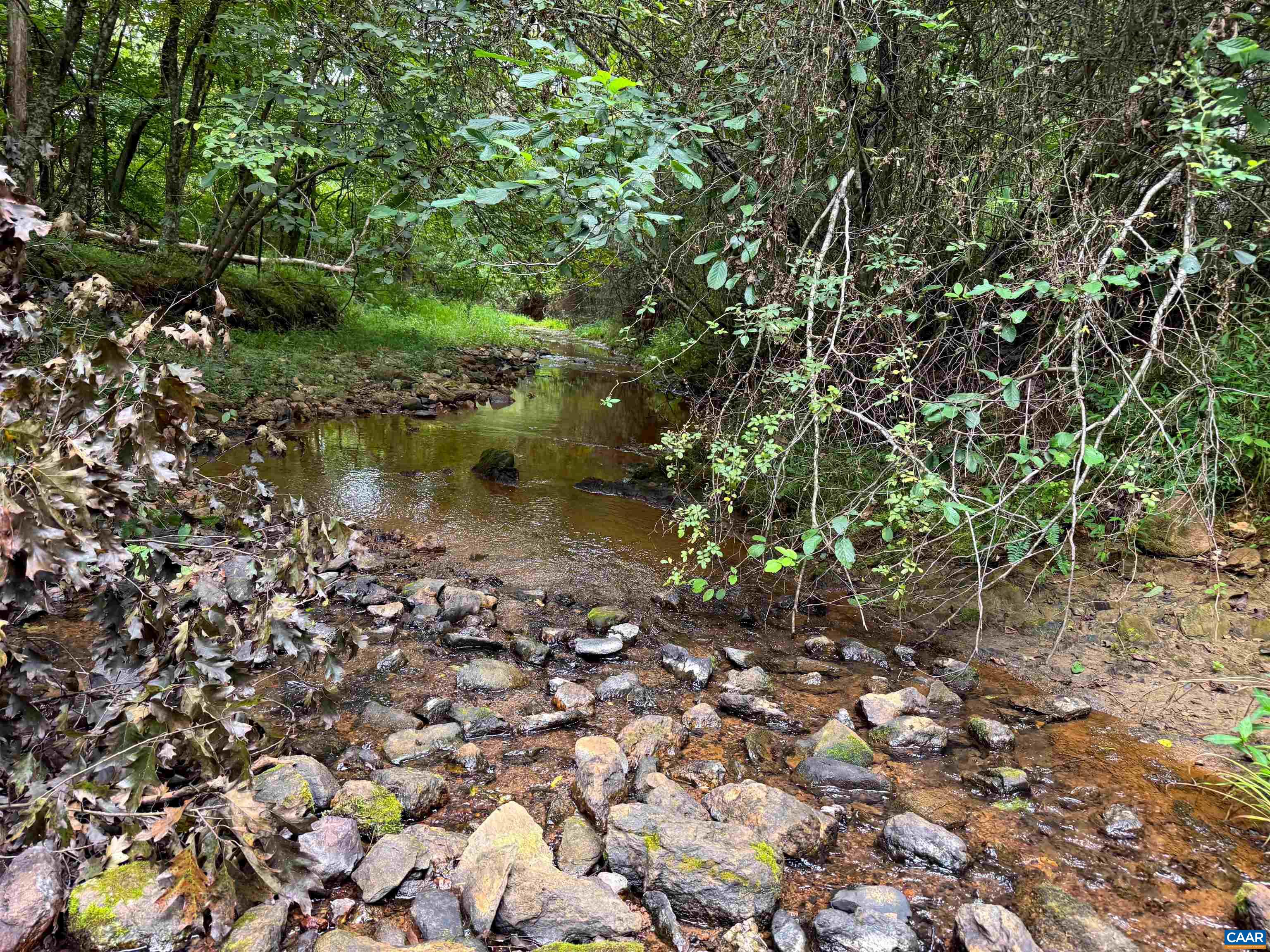 Old Green Mountain Rd, Esmont, VA 22937 - photo 2