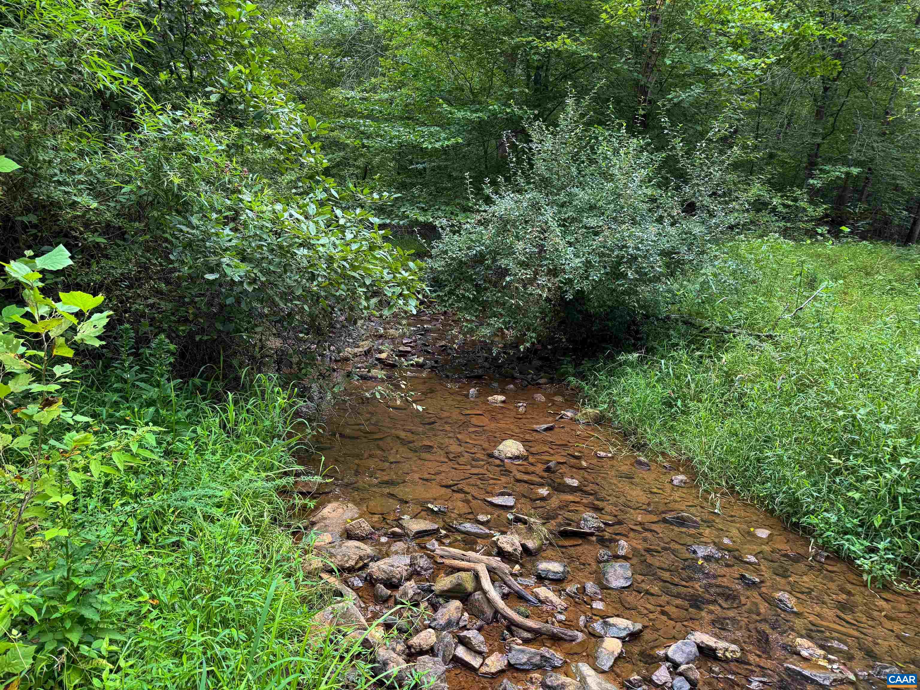Old Green Mountain Rd, Esmont, VA 22937 - photo 3