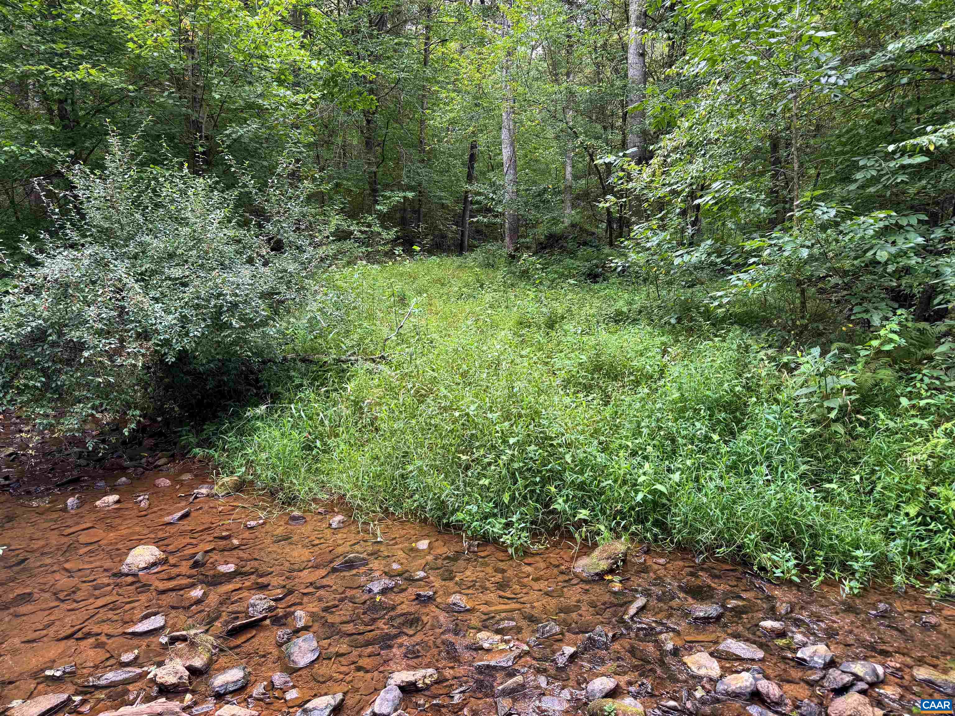 Old Green Mountain Rd, Esmont, VA 22937 - photo 4