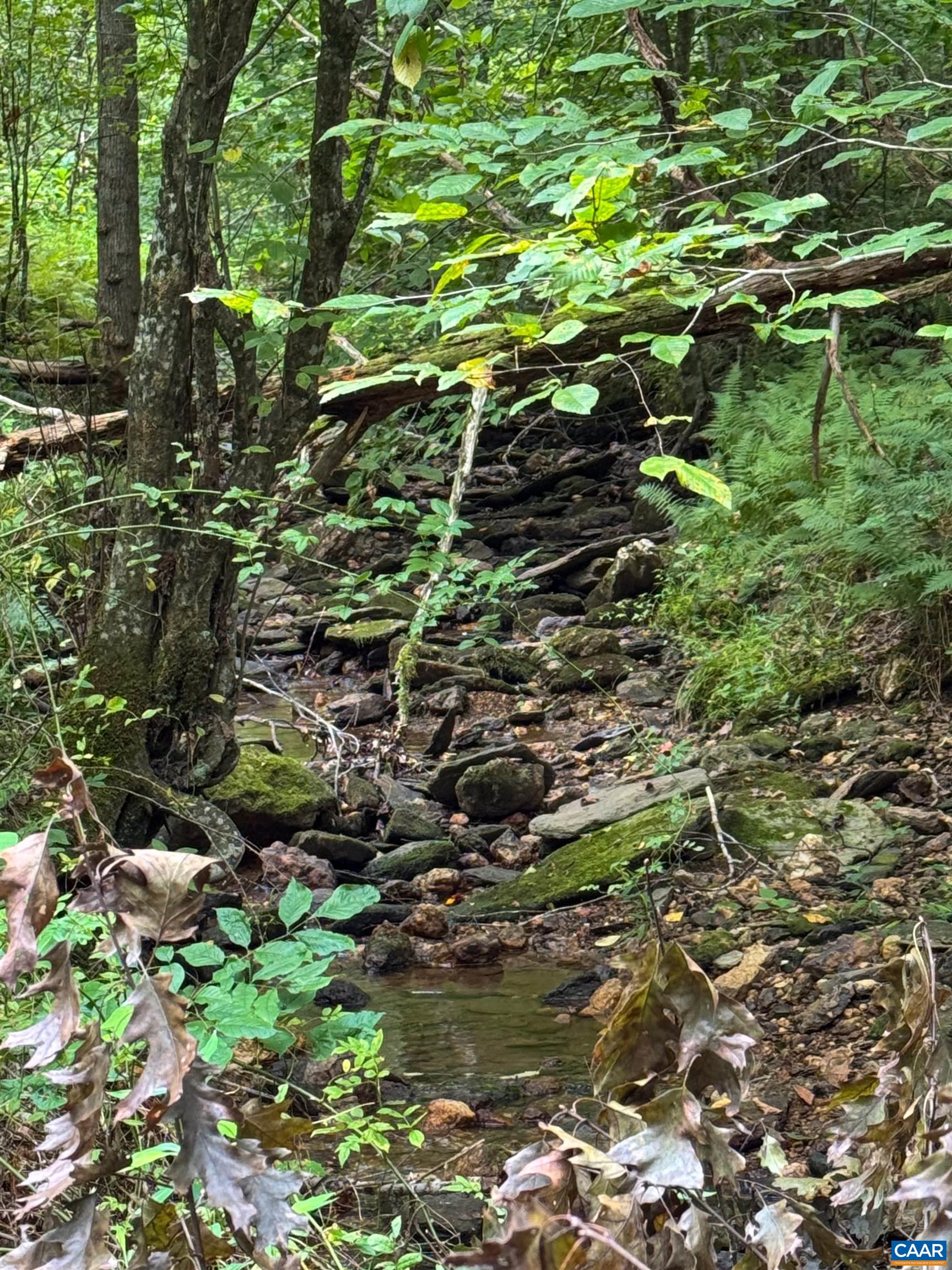 Old Green Mountain Rd, Esmont, VA 22937 - photo 6
