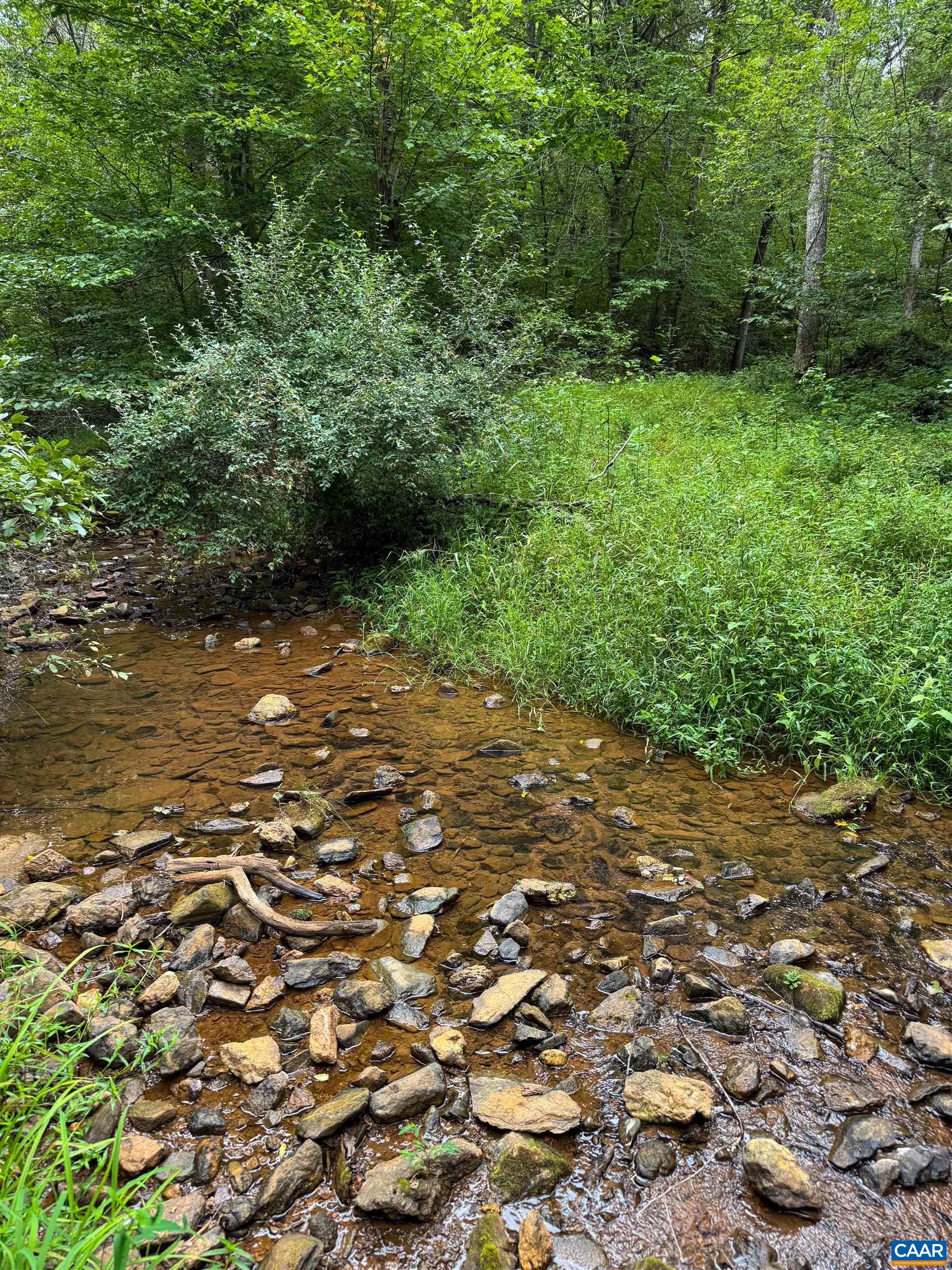 Old Green Mountain Rd, Esmont, VA 22937 - photo 7