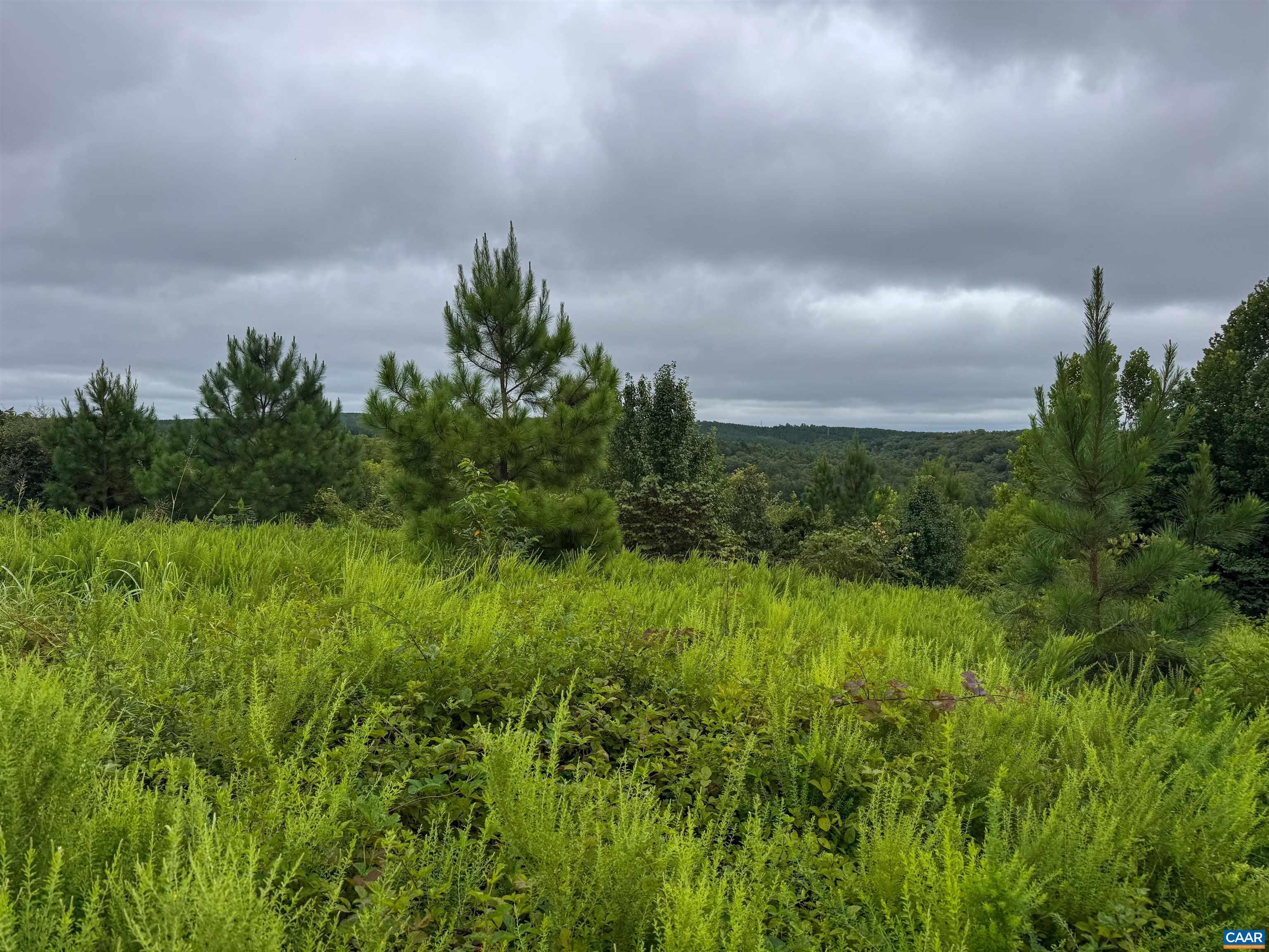 Old Green Mountain Rd, Esmont, VA 22937 - photo 8