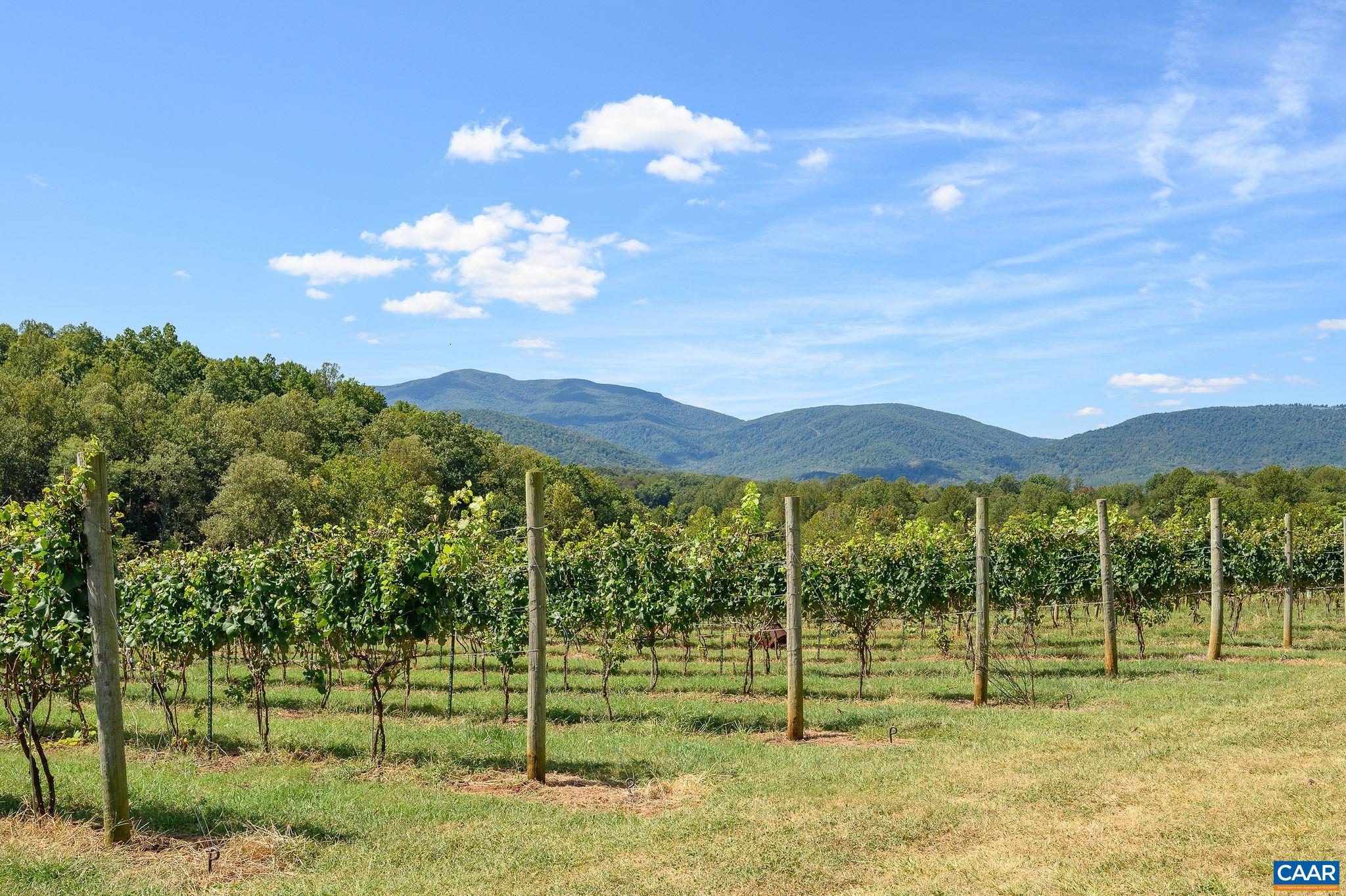 9175 Batesville Rd, Afton, VA 22902 — photo 10