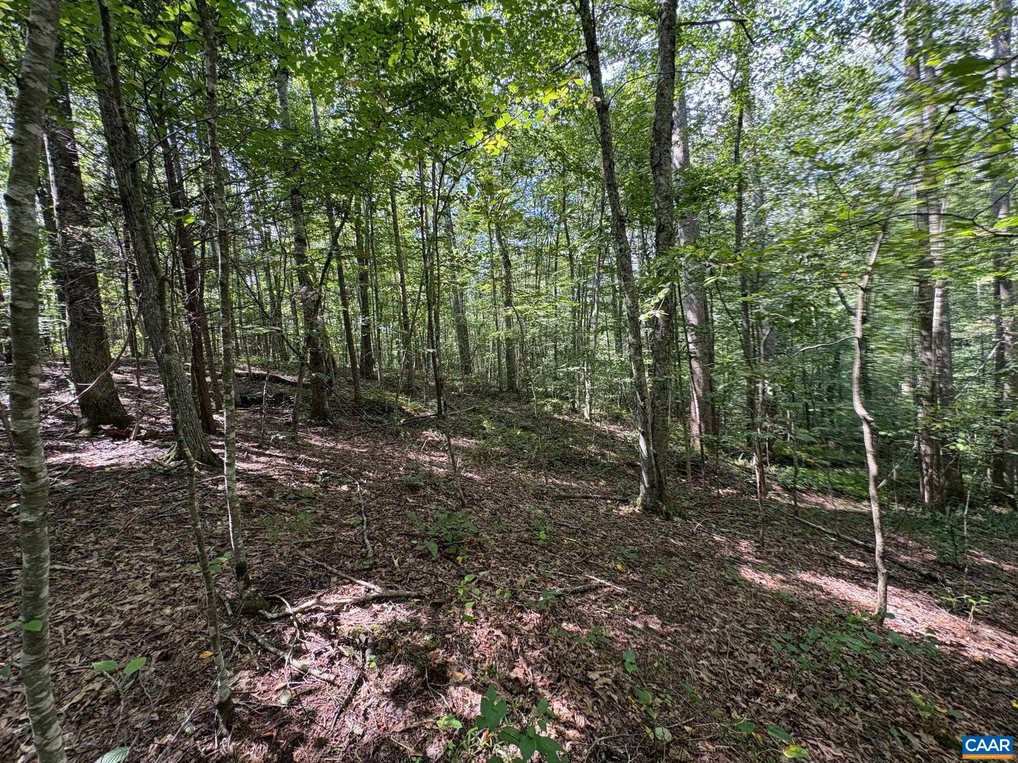 Mitchell Mountain Rd, Haywood, VA 22722