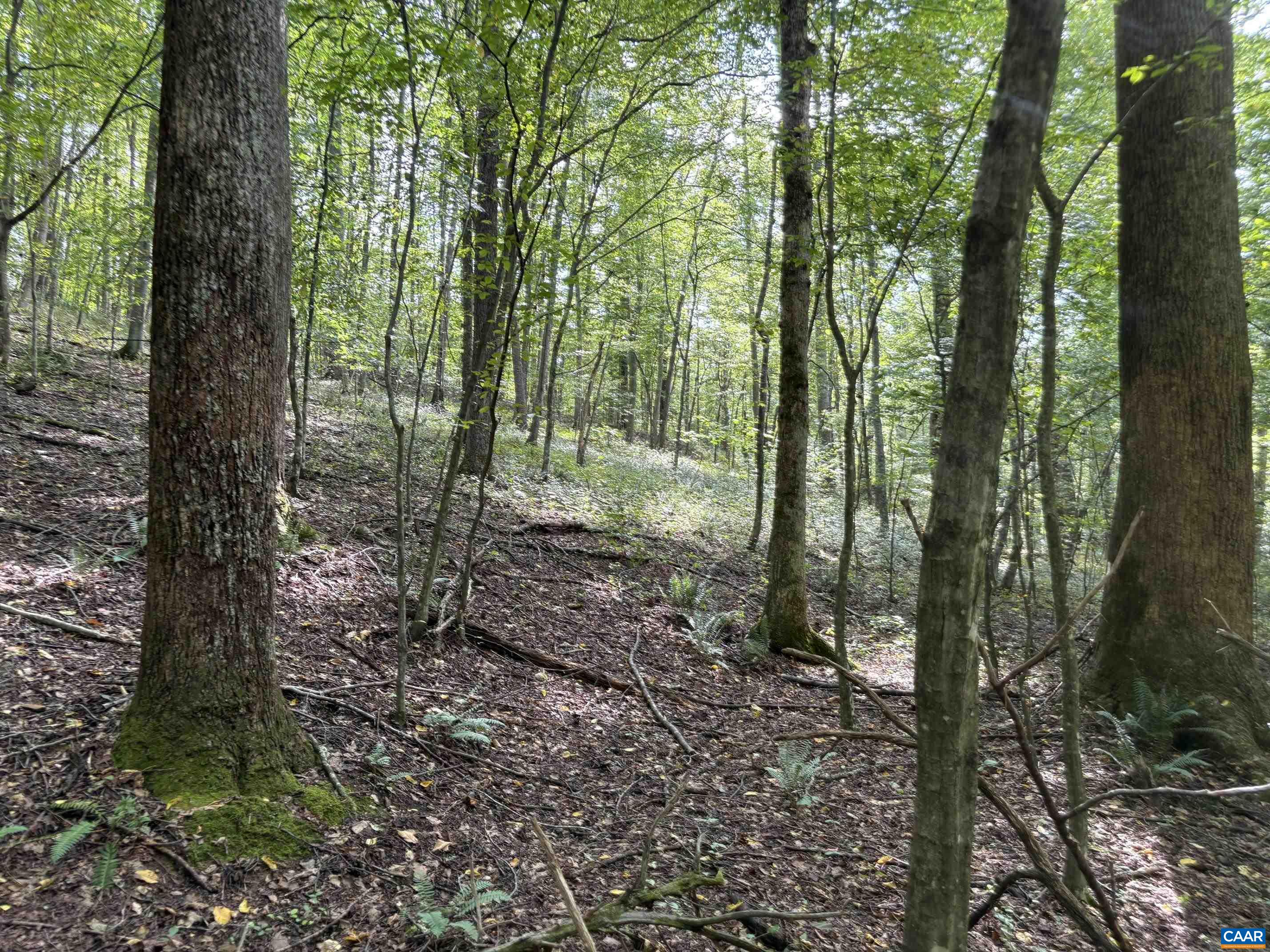 Mitchell Mountain Rd, Haywood, VA 22722 - photo 10