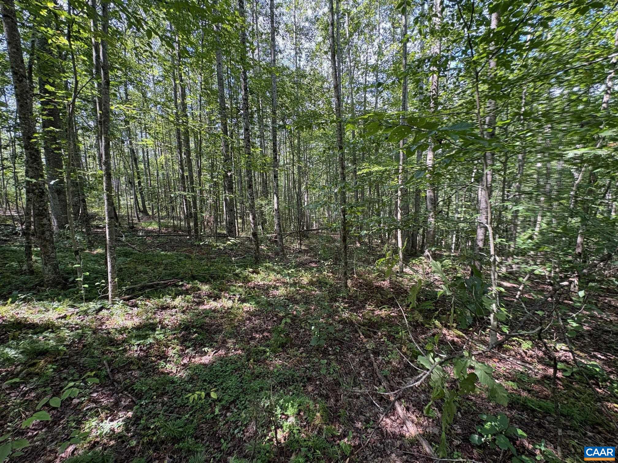 Mitchell Mountain Rd, Haywood, VA 22722 - photo 4