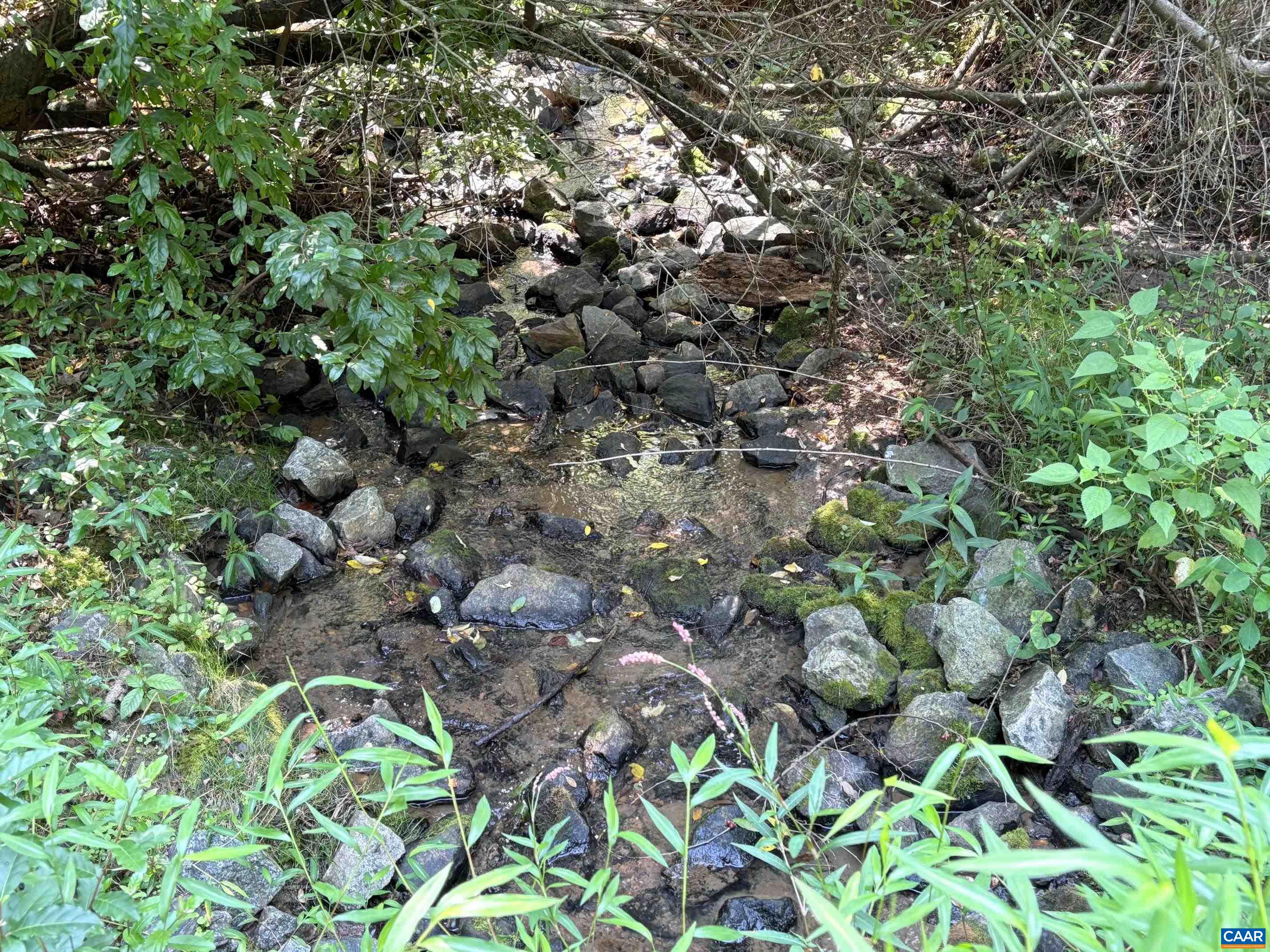 Mitchell Mountain Rd, Haywood, VA 22722 - photo 5