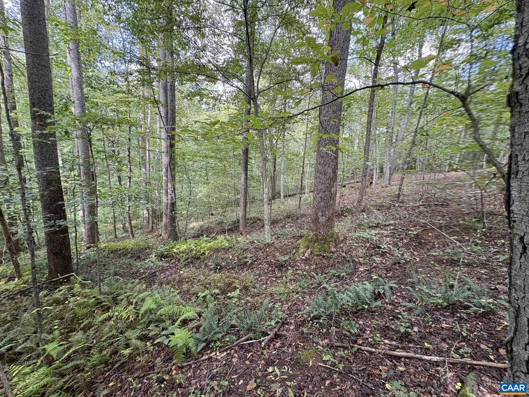 Mitchell Mountain Rd, Haywood, VA 22722 - photo 7