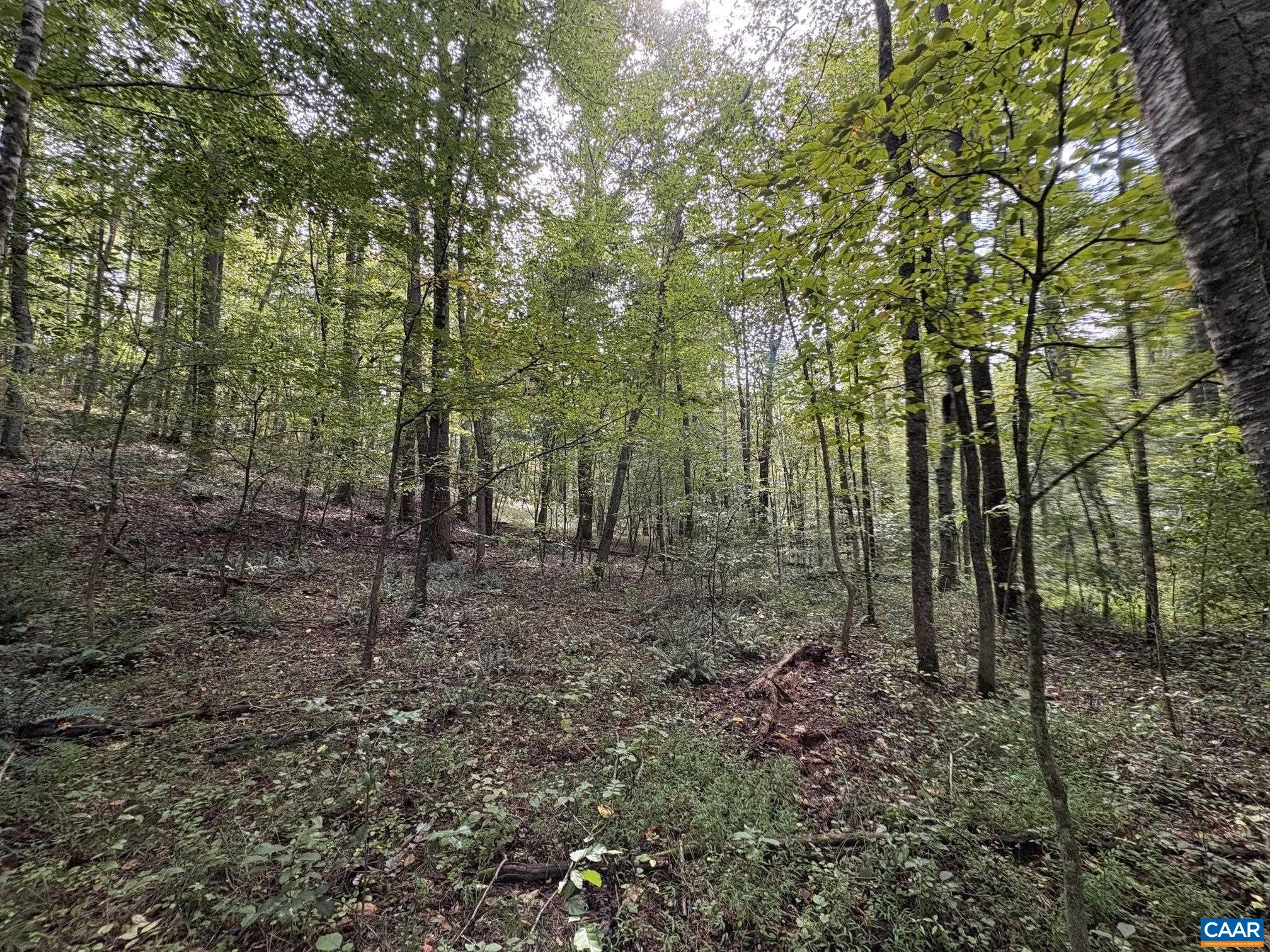 Mitchell Mountain Rd, Haywood, VA 22722 - photo 8