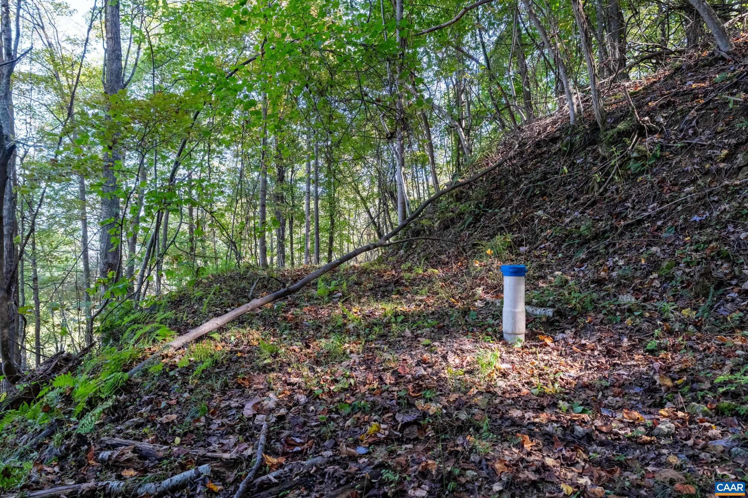 13630 Crabtree Falls Hwy, Tyro, VA 22976 - photo 10