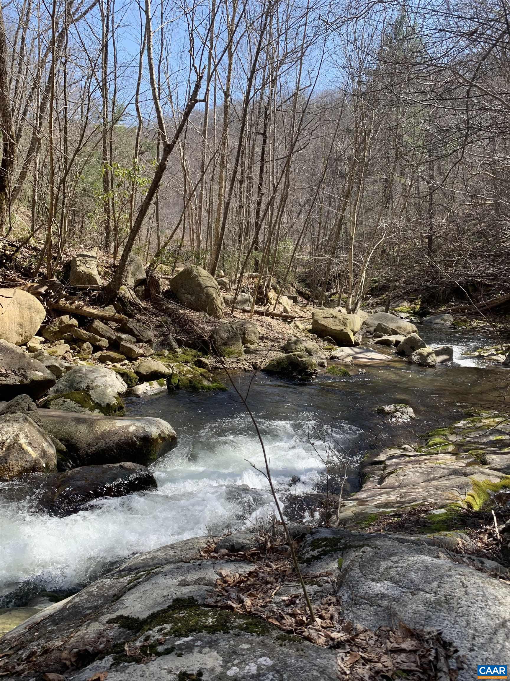 13630 Crabtree Falls Hwy, Tyro, VA 22976 - photo 4