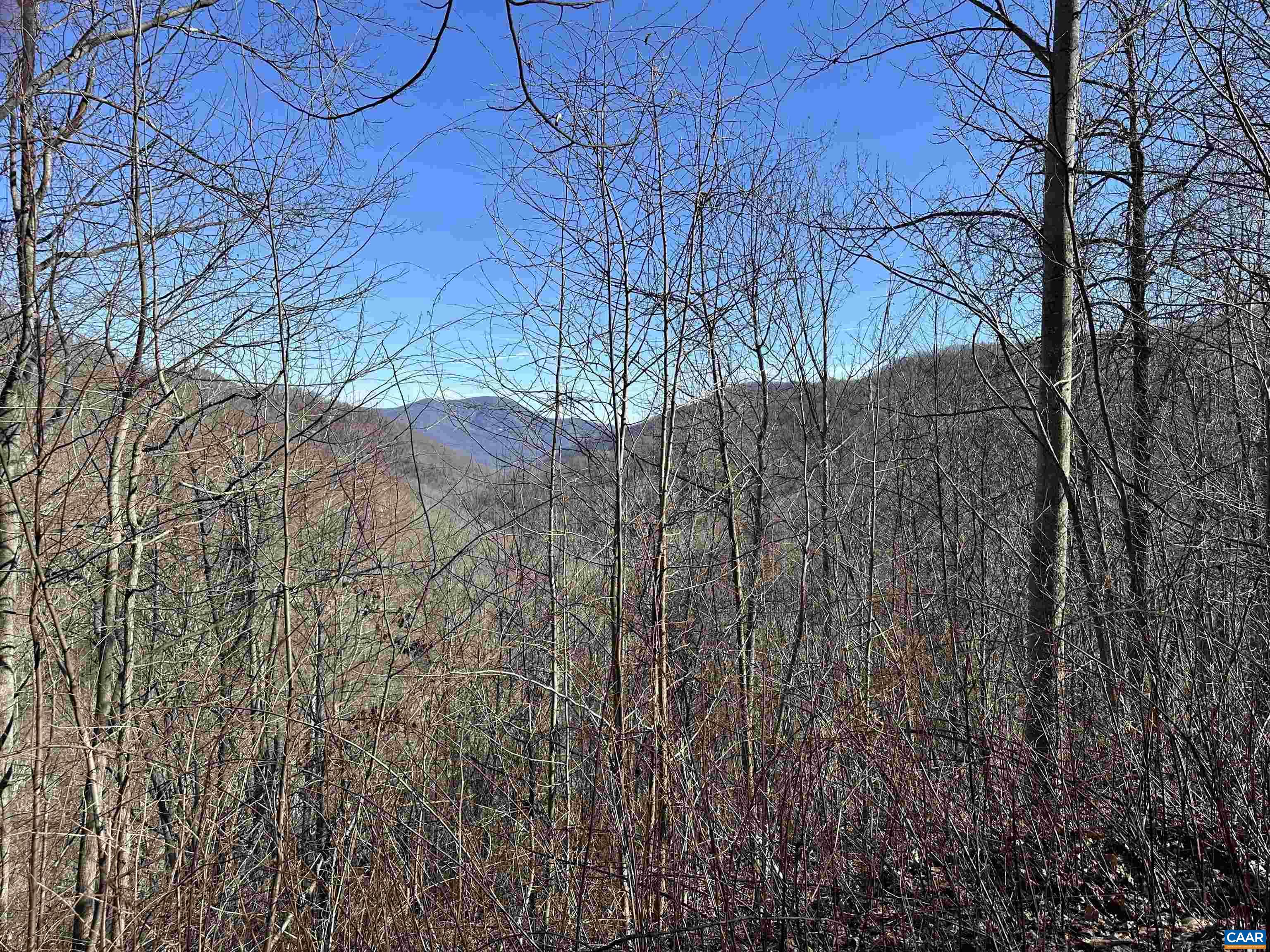 13630 Crabtree Falls Hwy, Tyro, VA 22976 - photo 7