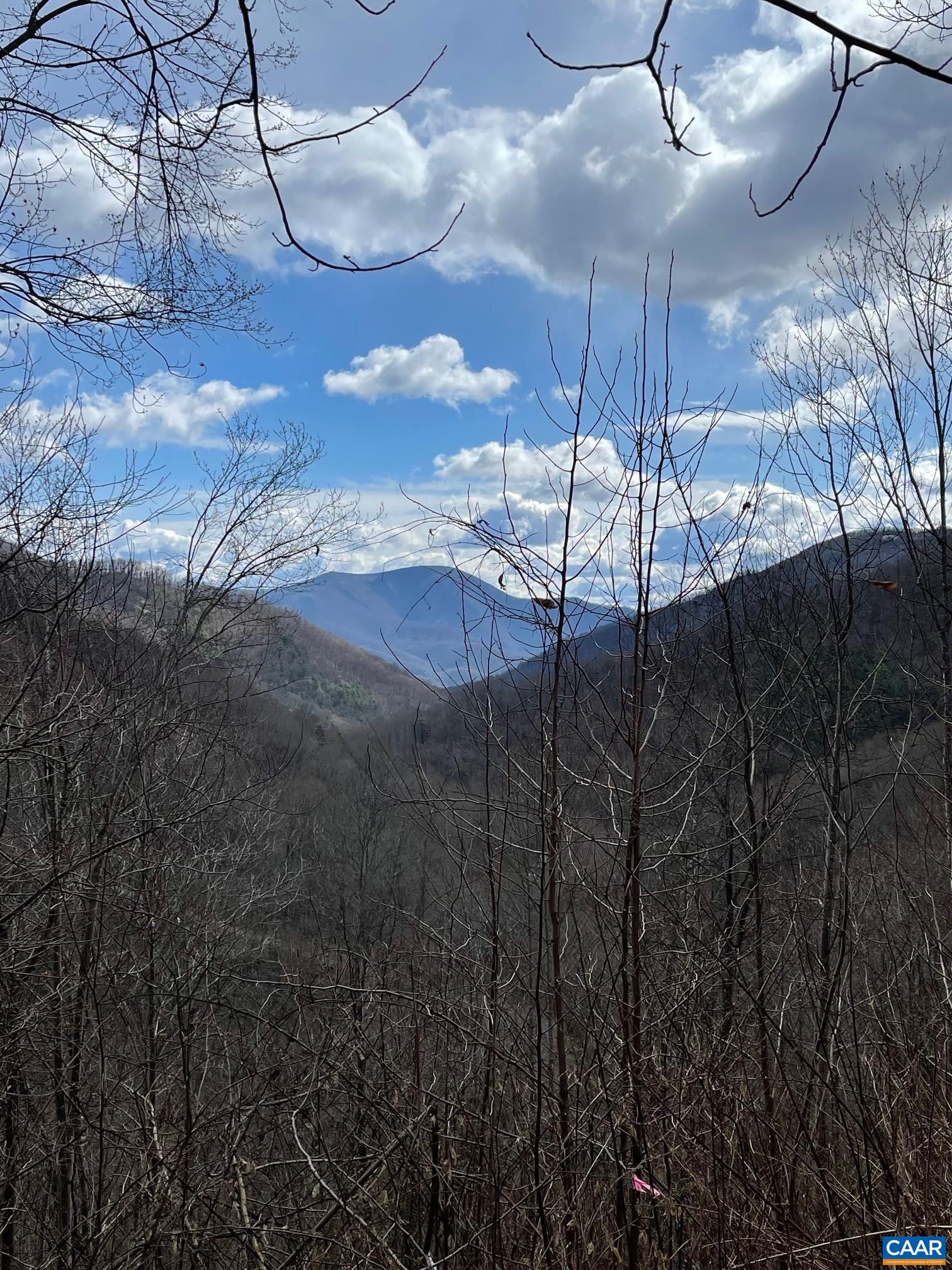 13630 Crabtree Falls Hwy, Tyro, VA 22976 - photo 8