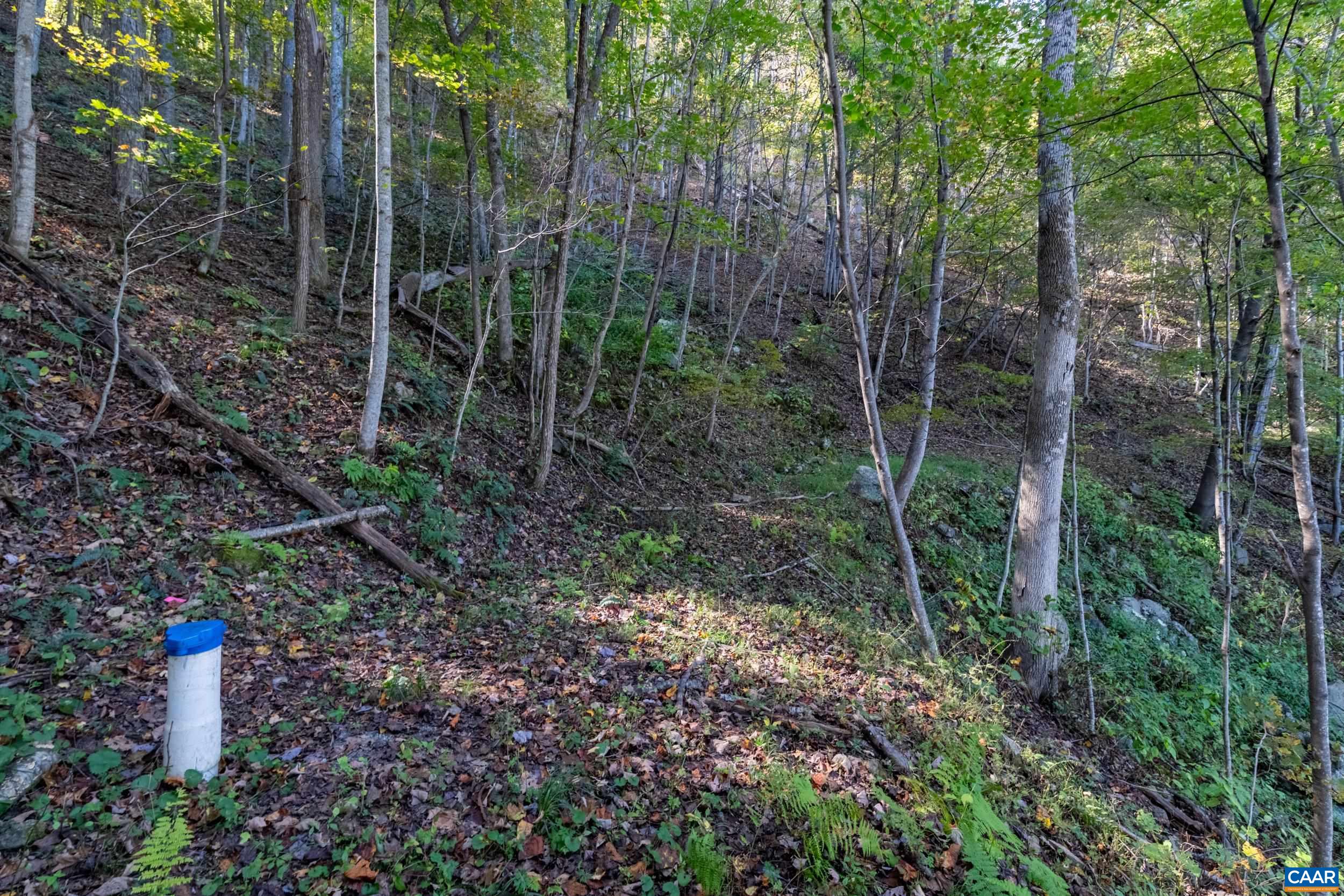 13630 Crabtree Falls Hwy, Tyro, VA 22976 - photo 9