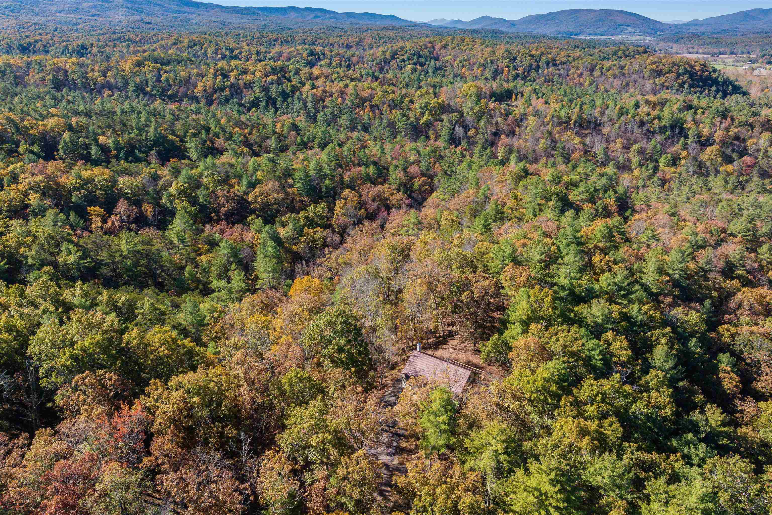 65 Mountain Deer Run, West Augusta, VA 24485 — photo 5