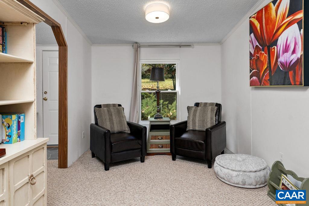 96 Little Stoney Ln, Nellysford, VA 22958 — photo 3