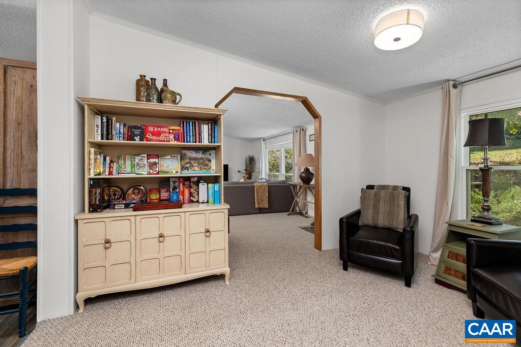 96 Little Stoney Ln, Nellysford, VA 22958 — photo 4