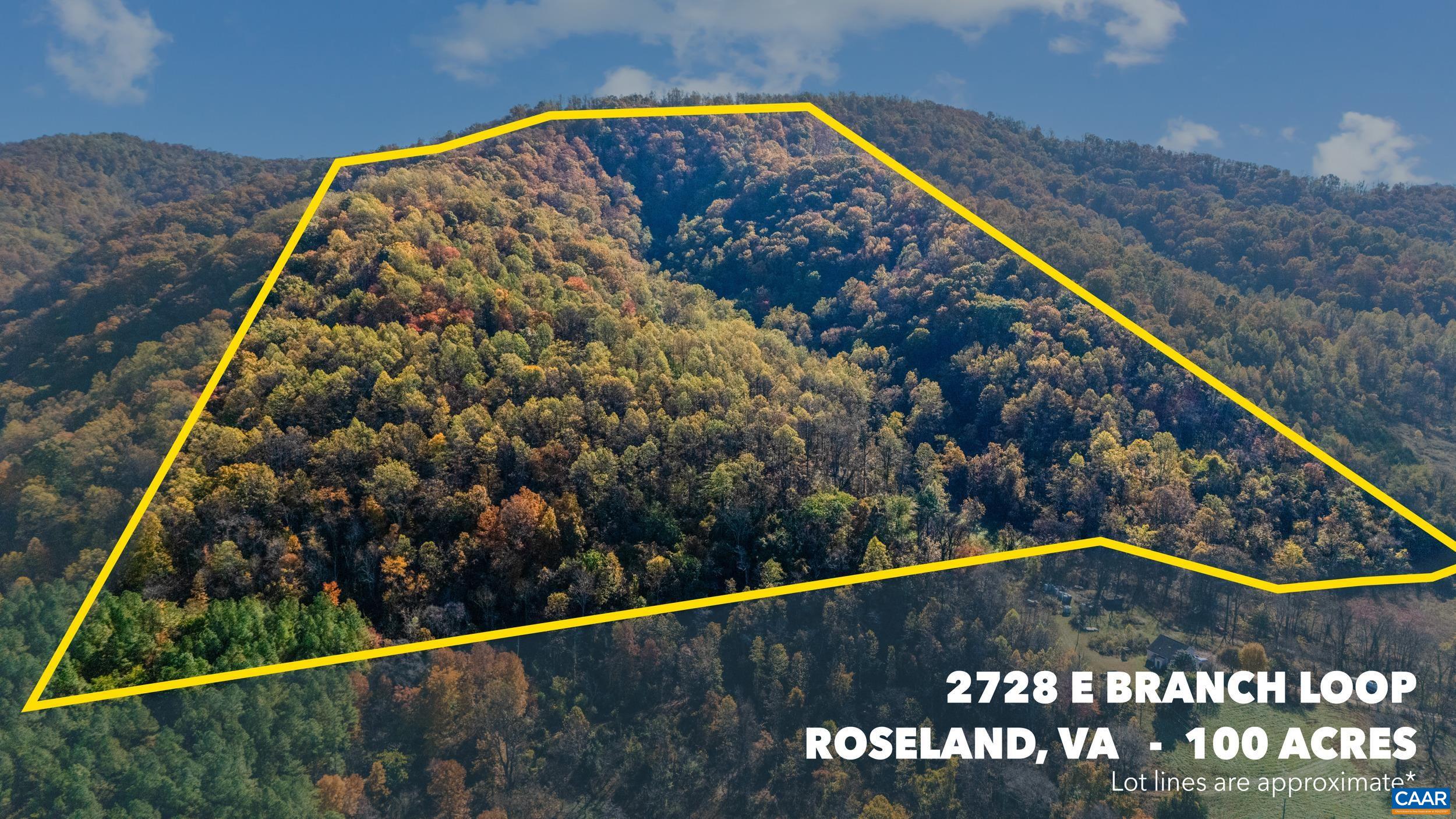 2728 East Branch Loop, Roseland, VA 22967