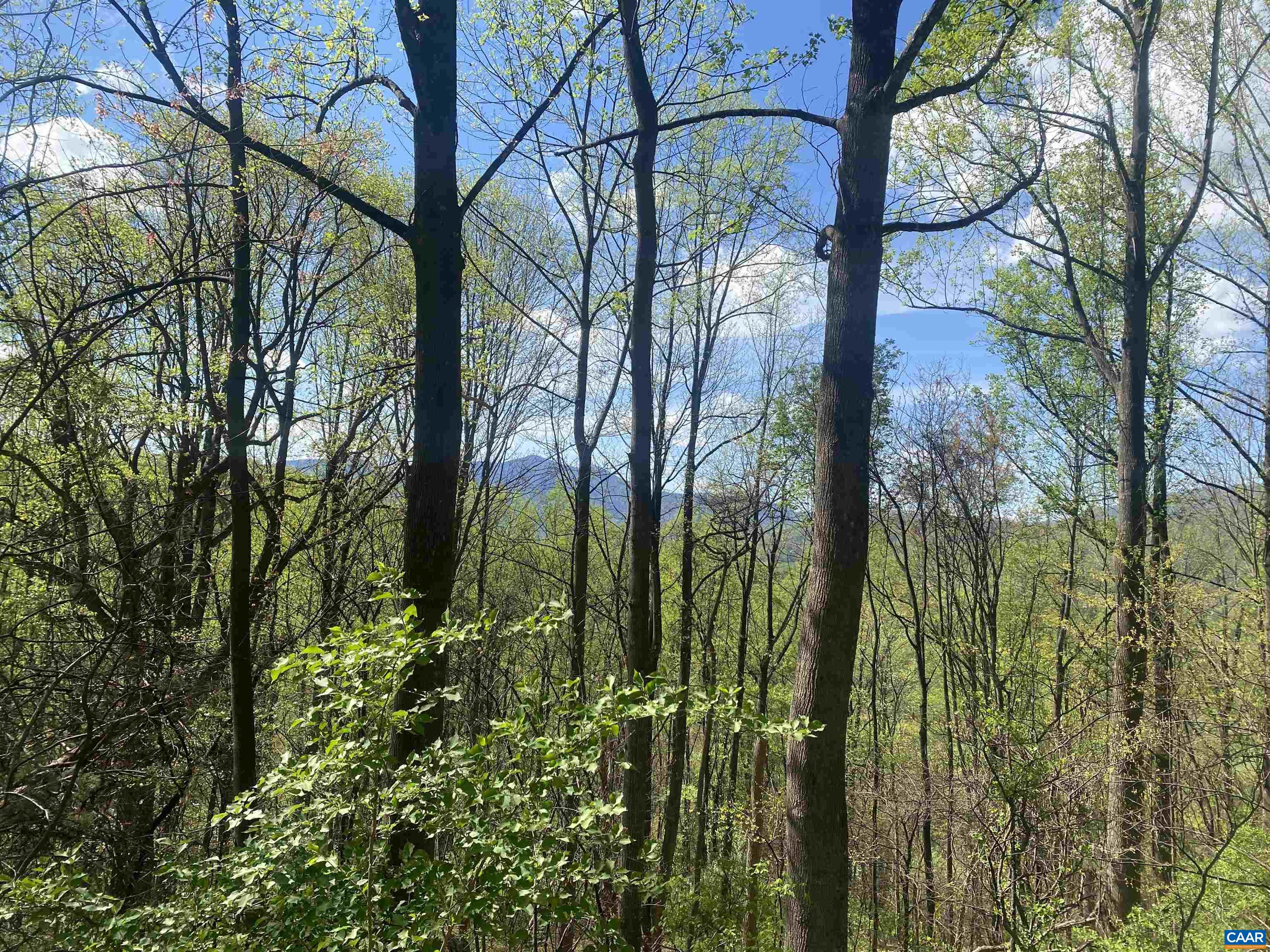 2728 East Branch Loop, Roseland, VA 22967 — photo 7