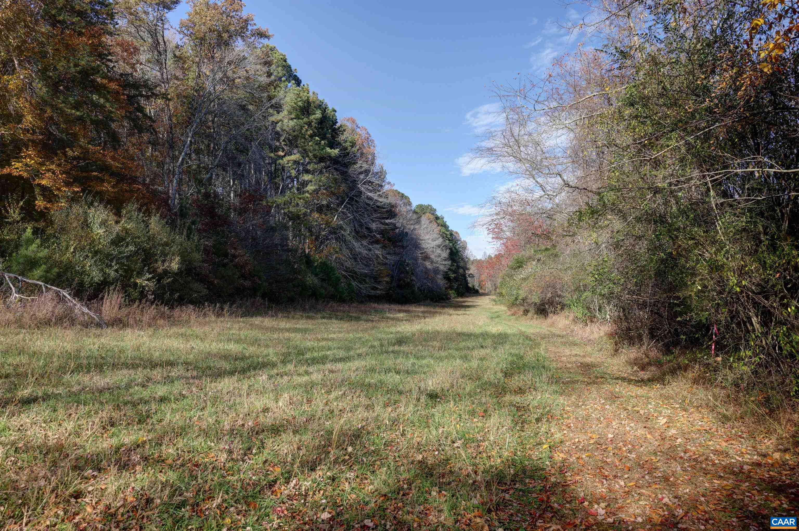 Link Evans Ln, Earlysville, VA 22936 - photo 5