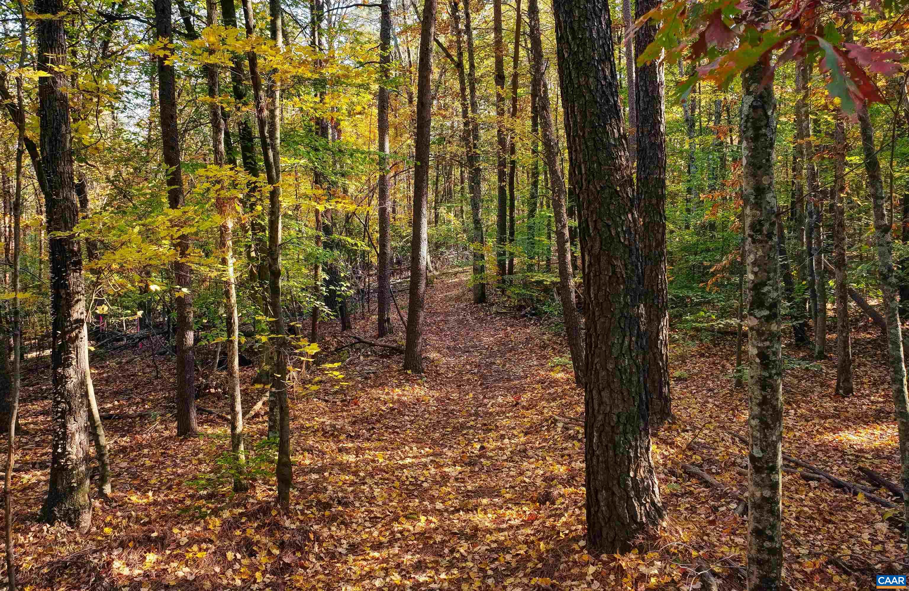 Link Evans Ln, Earlysville, VA 22936 - photo 6