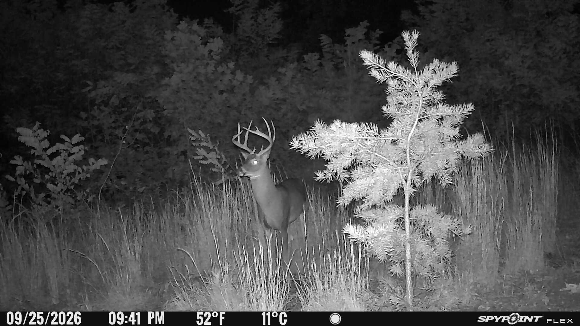 Big River Rd, Goshen, VA 24439 - photo 10