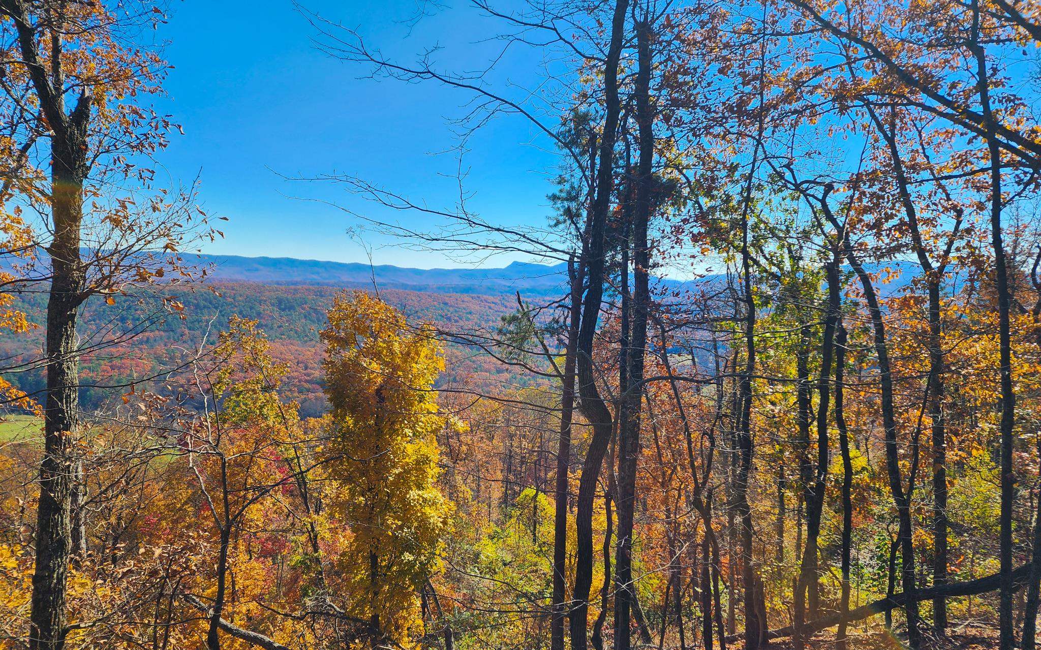 Big River Rd, Goshen, VA 24439 - photo 6