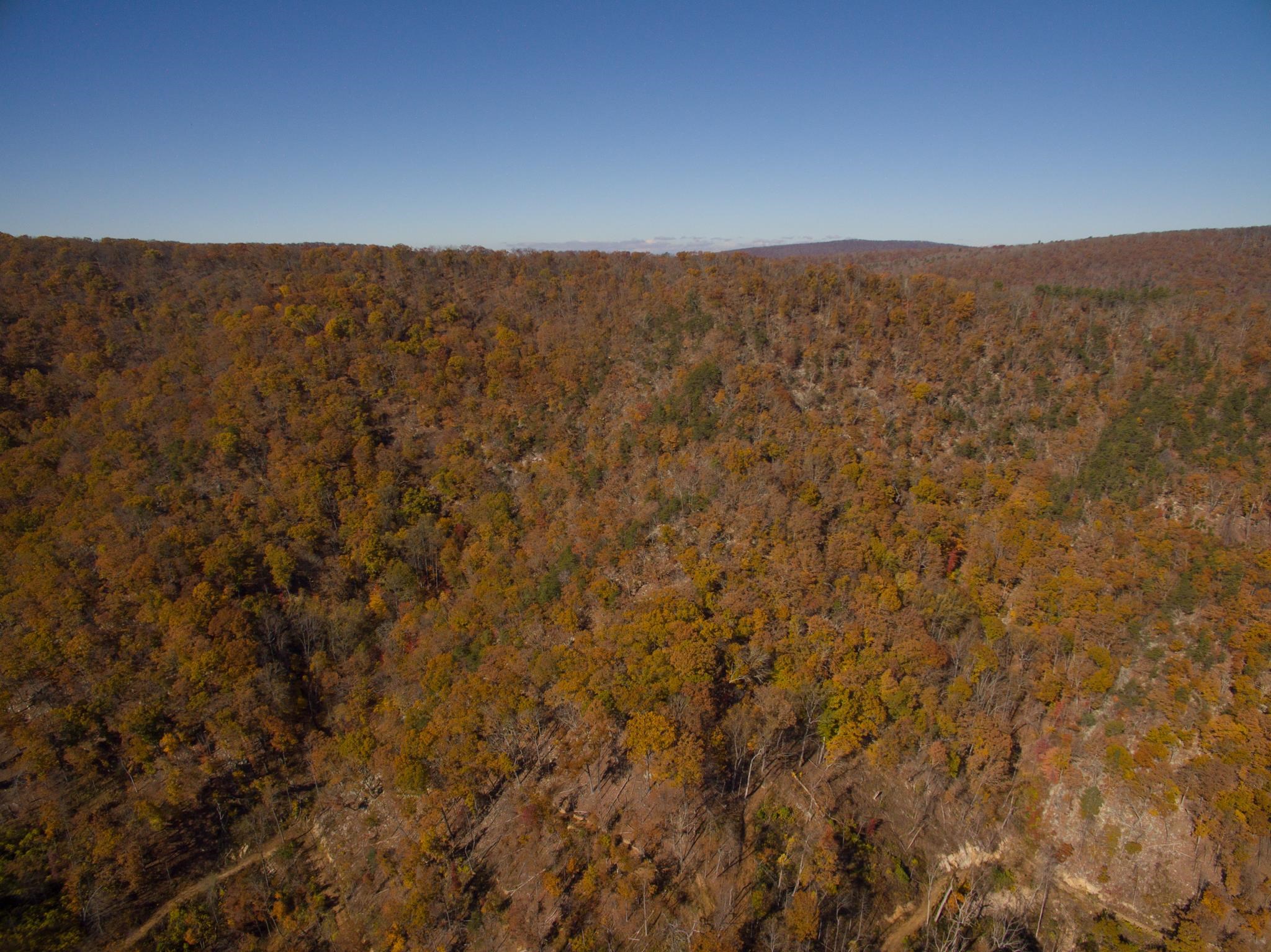 Big River Rd, Goshen, VA 24439 - photo 9
