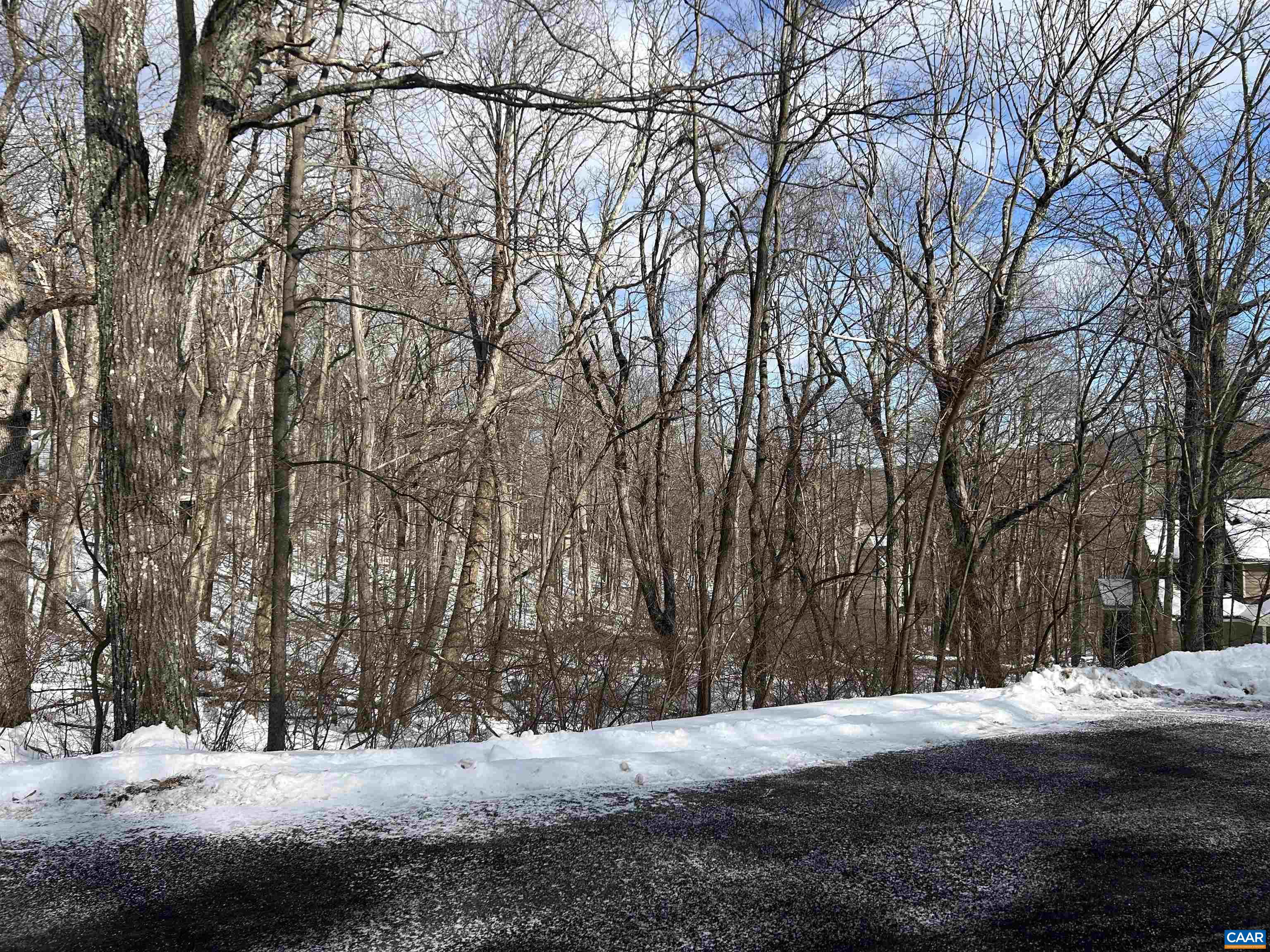 25 Poll Axe Ln, Wintergreen Resort, VA 22967 - photo 2