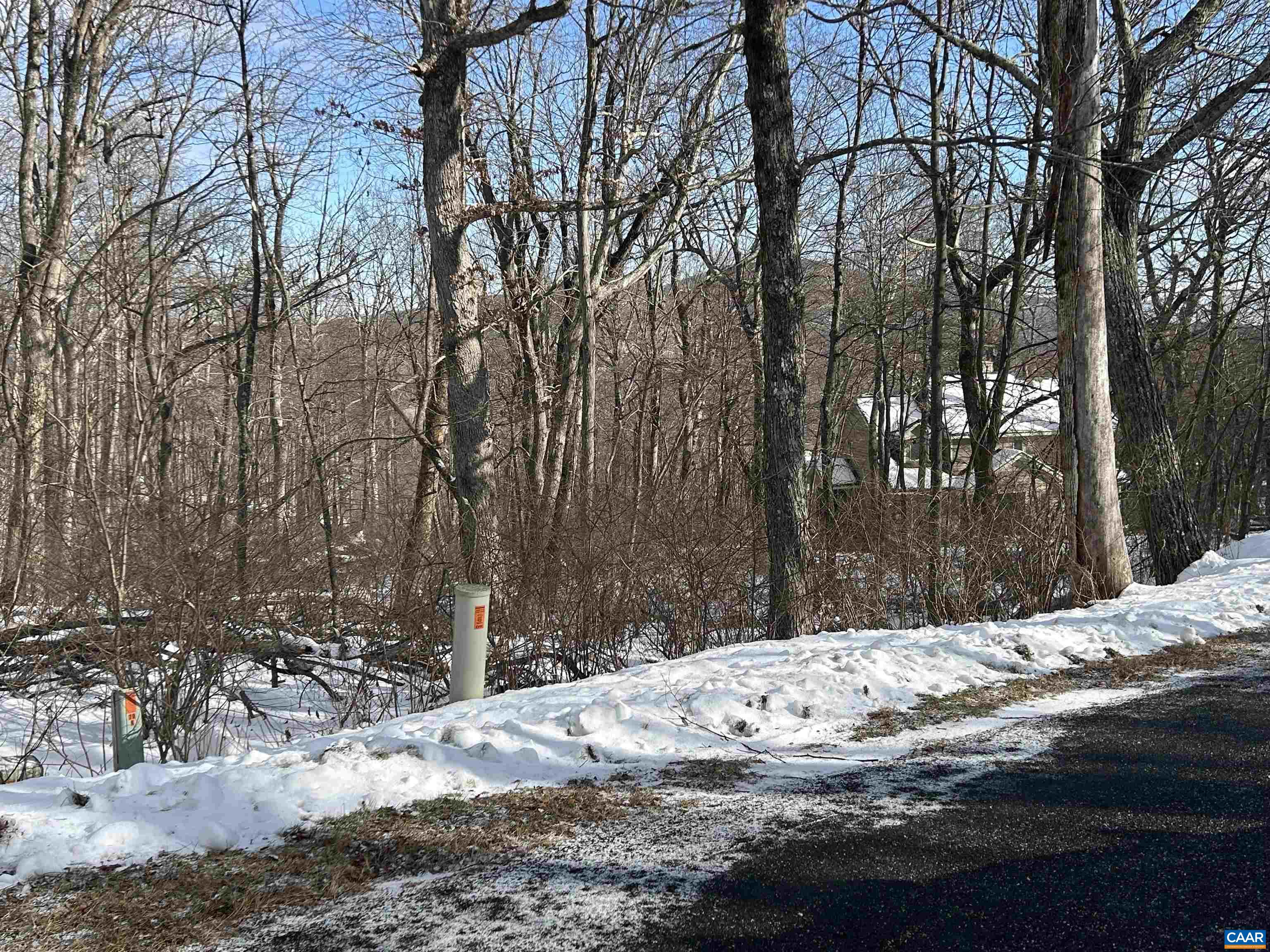 25 Poll Axe Ln, Wintergreen Resort, VA 22967 - photo 3