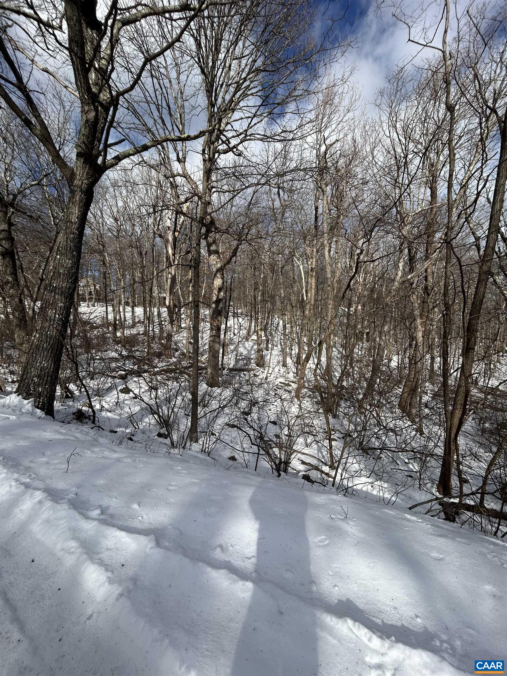 25 Poll Axe Ln, Wintergreen Resort, VA 22967 - photo 4