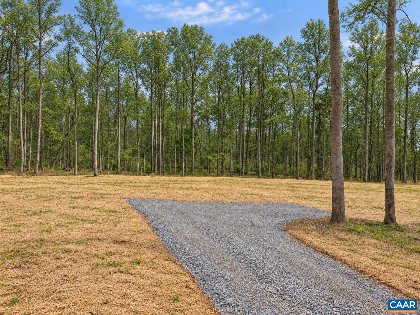 Sienna Ln, Earlysville, VA 22936 - photo 4