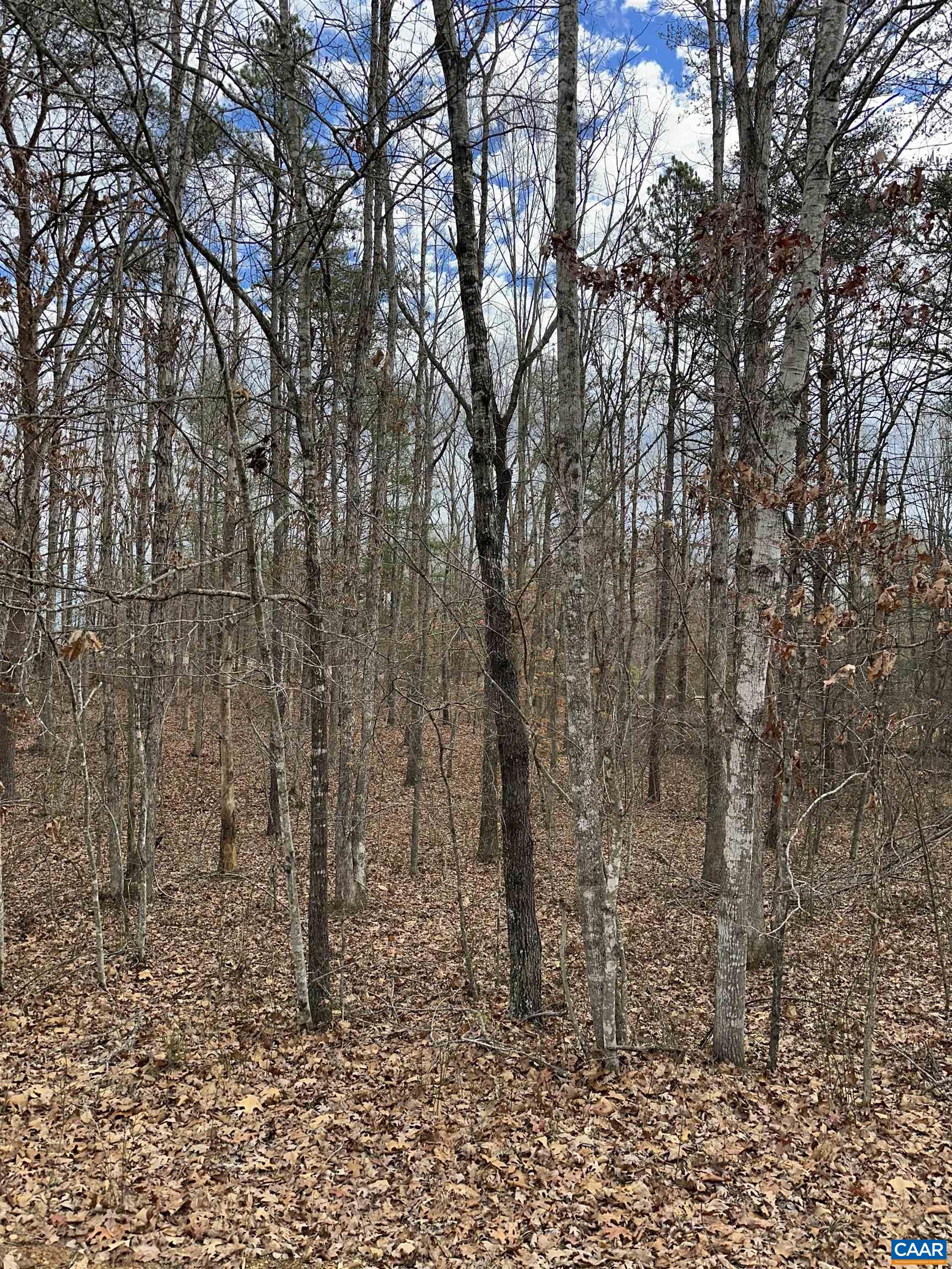 Pinehurst Dr, Louisa, VA 22942 - photo 3