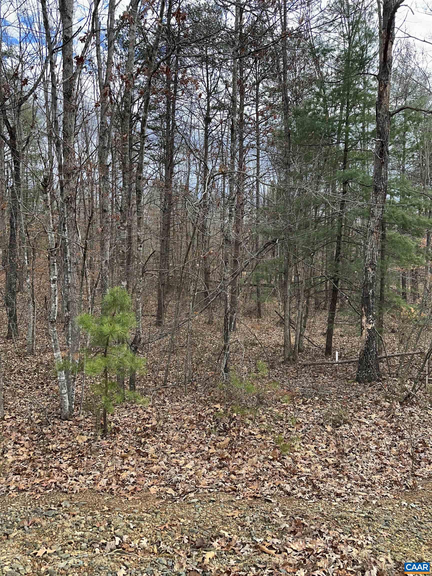 Pinehurst Dr, Louisa, VA 22942 - photo 2