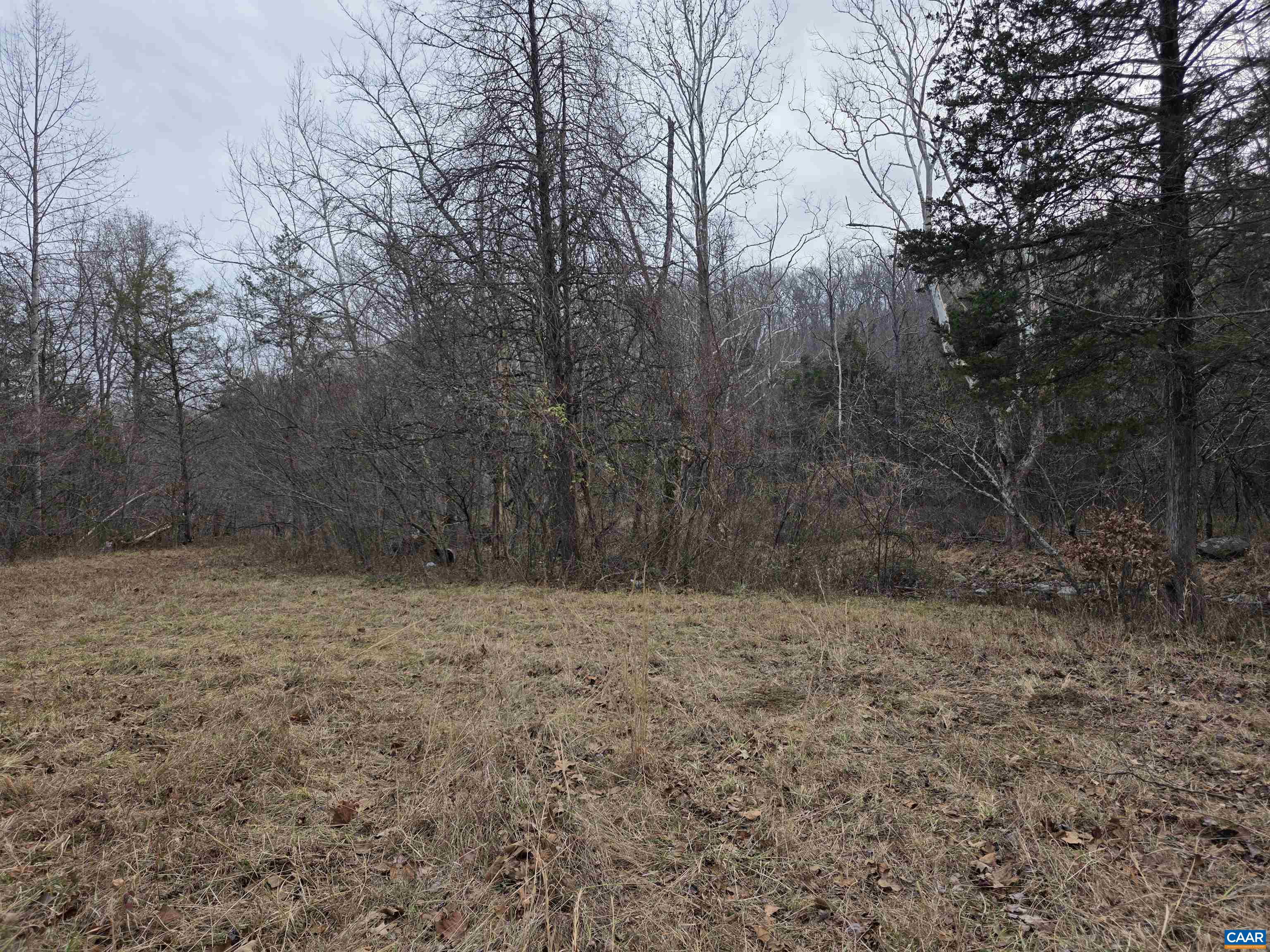 Evelyns Way, Stanardsville, VA 22973 - photo 5