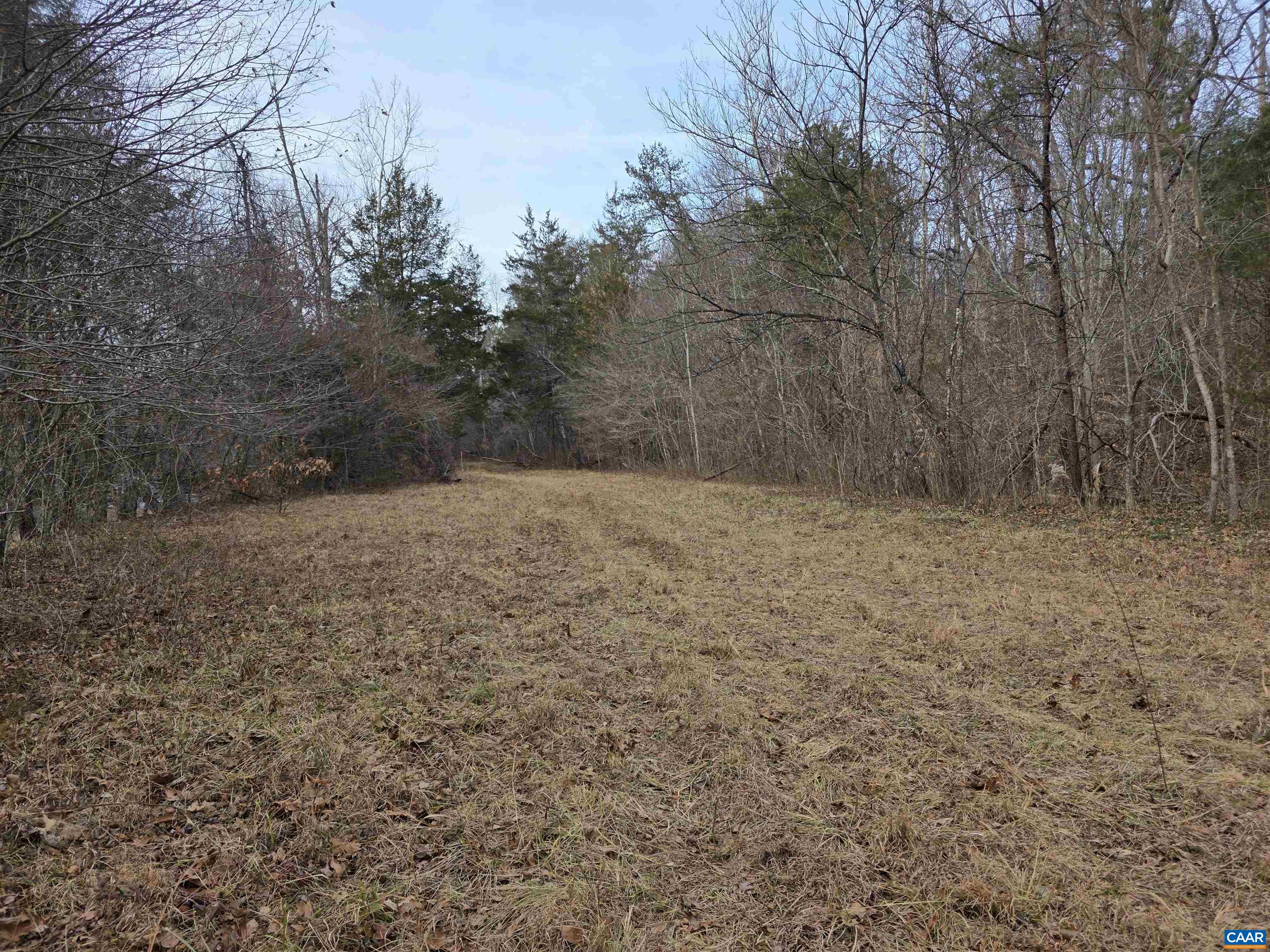 Evelyns Way, Stanardsville, VA 22973 - photo 6