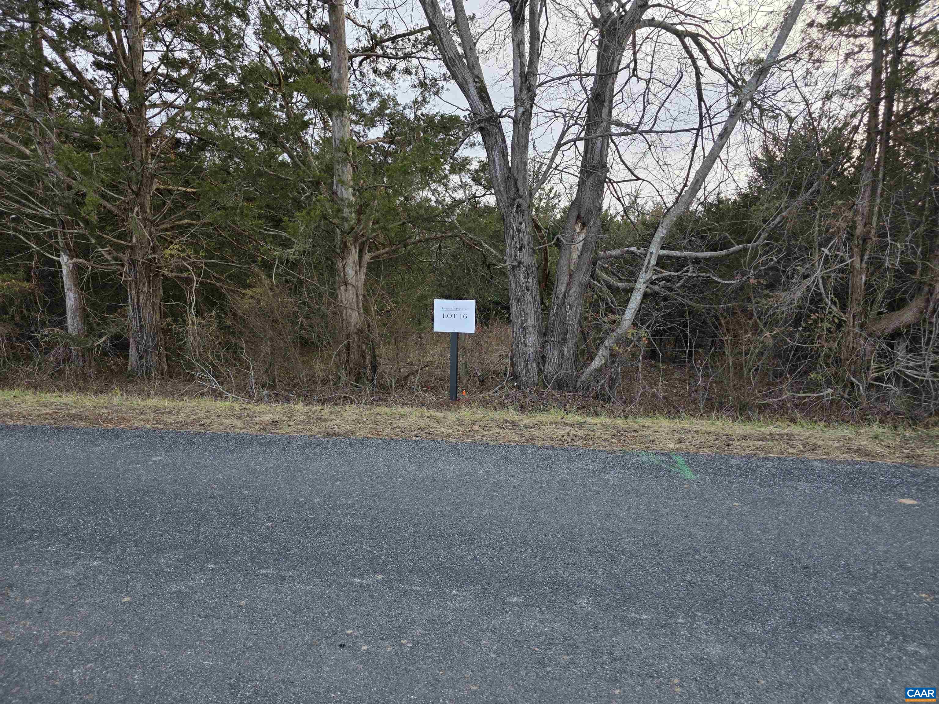 Pea Ridge Rd, Stanardsville, VA 22973 - photo 2