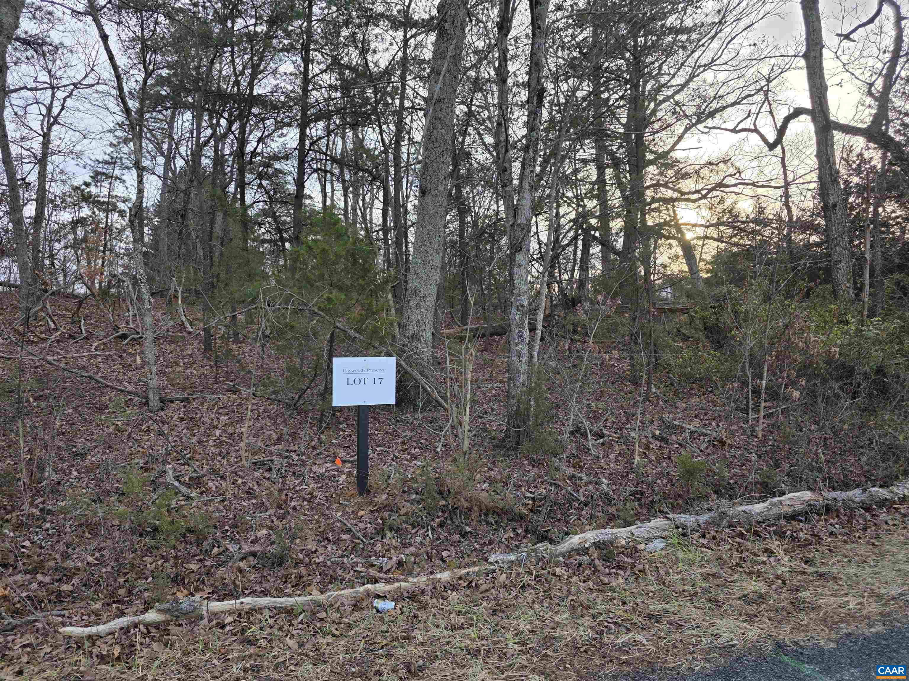 Pea Ridge Rd, Stanardsville, VA 22973 - photo 2