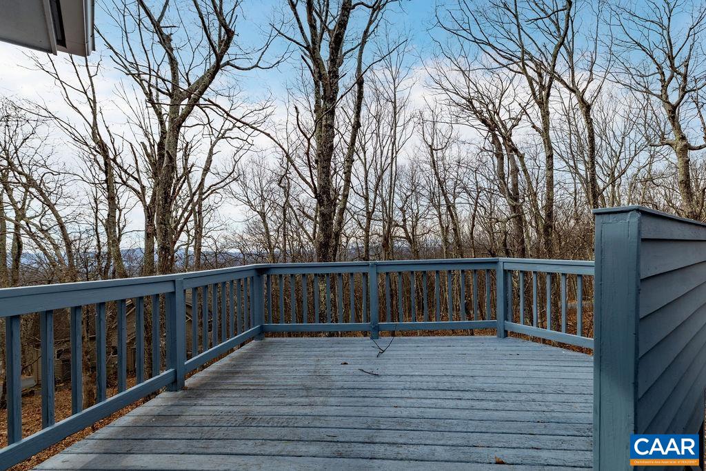 20 Red Cedar Ct, Wintergreen, VA 22967 — photo 7