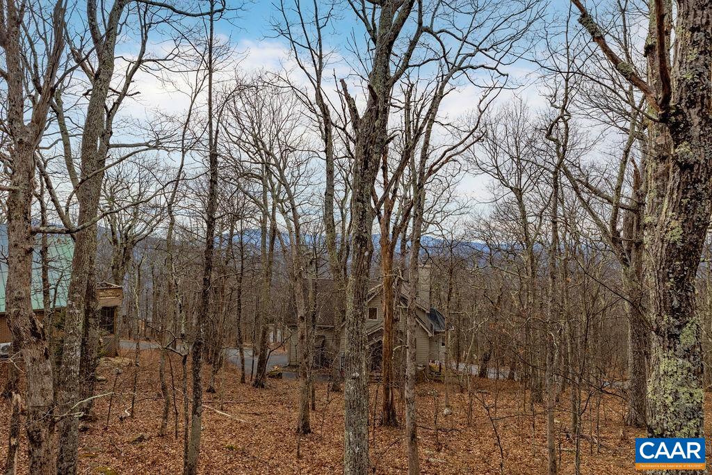 20 Red Cedar Ct, Wintergreen, VA 22967 — photo 8