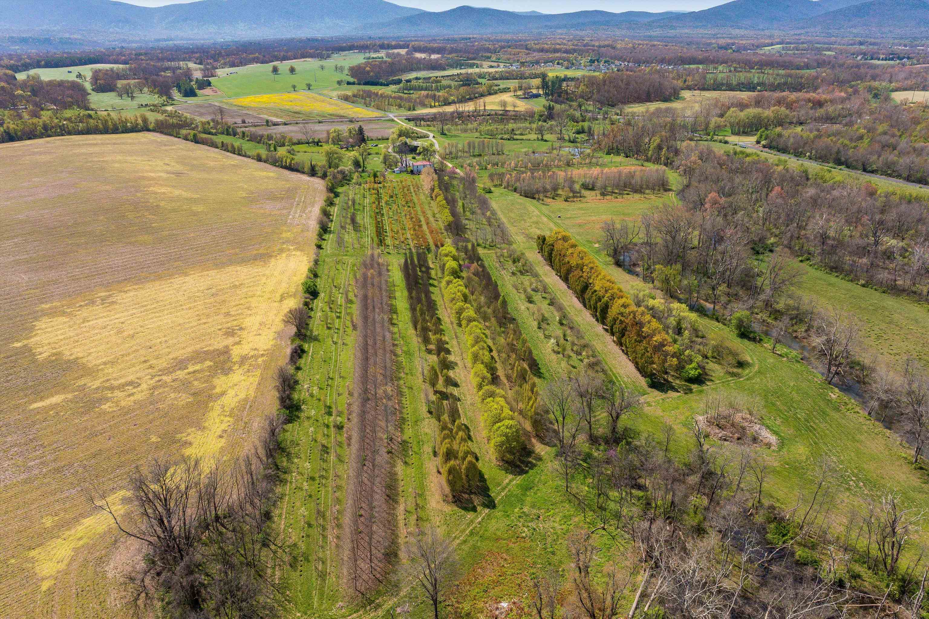 514 Lipscomb Rd, Stuarts Draft, VA 24477 — photo 3
