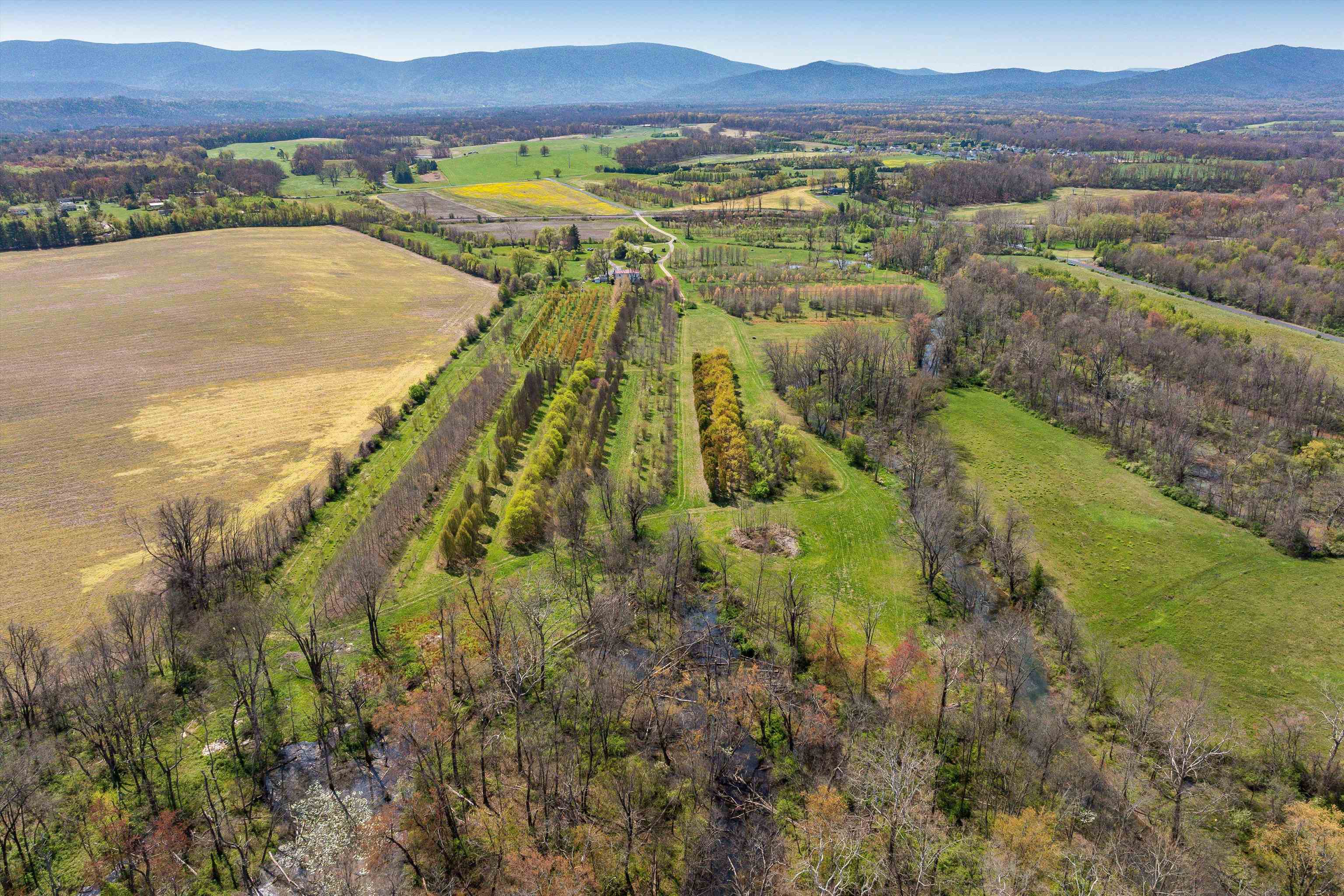 514 Lipscomb Rd, Stuarts Draft, VA 24477 — photo 4