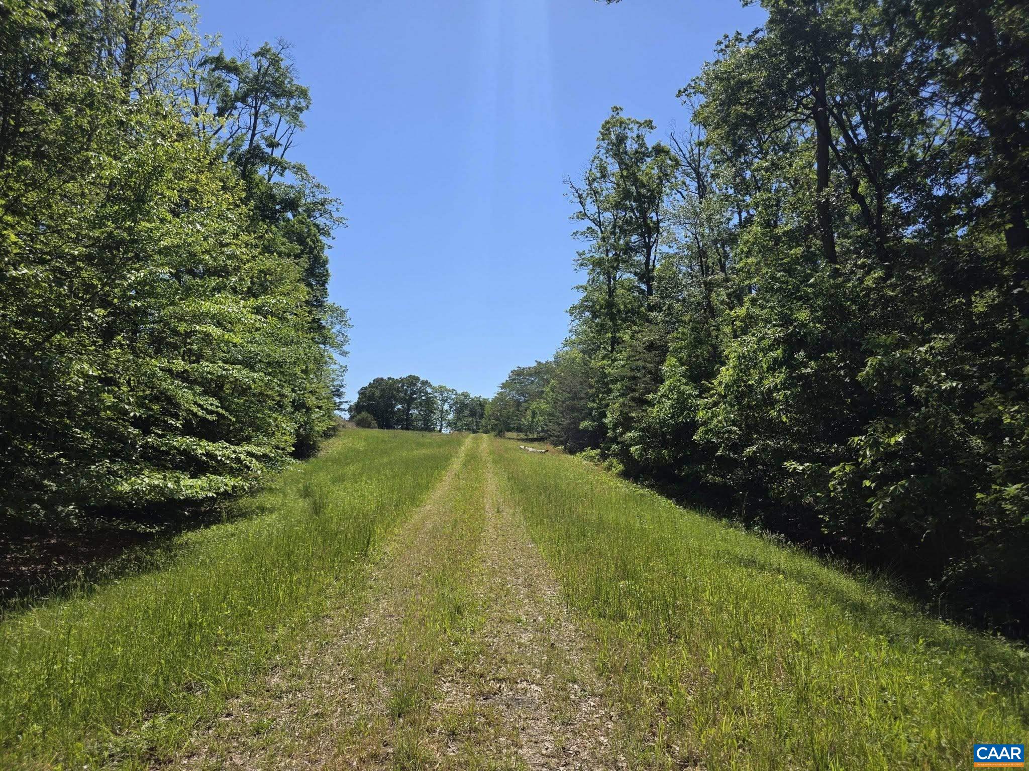 2 Coquina Dr, Barboursville, VA 22923 — photo 2