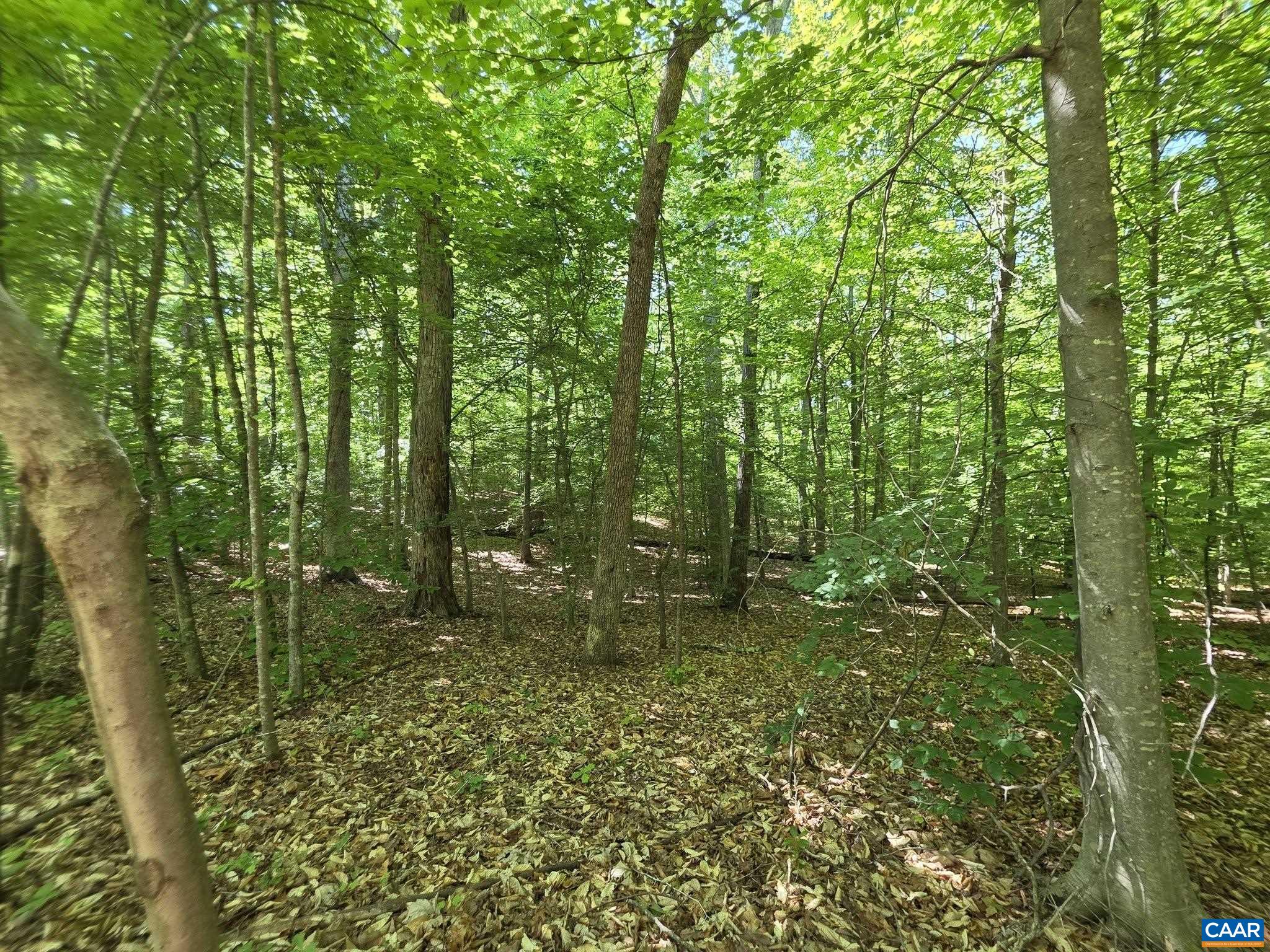 2 Coquina Dr, Barboursville, VA 22923 — photo 3