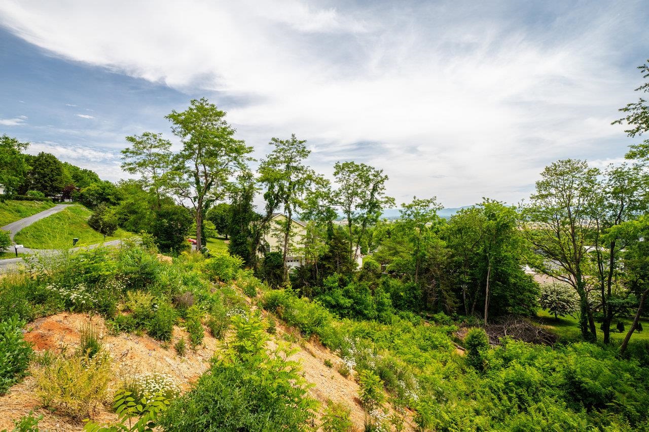 Valley View Dr, Mount Sidney, VA 24467 - photo 2