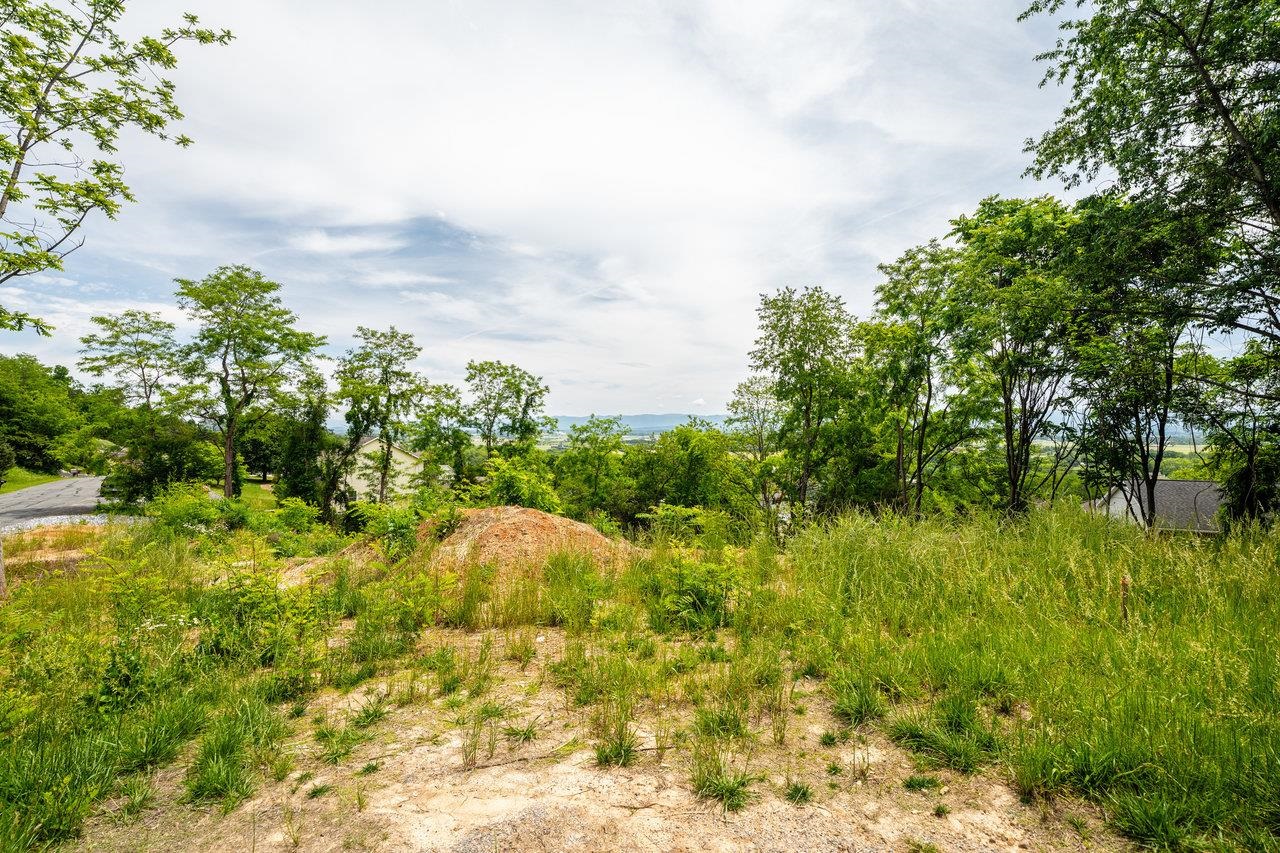 Valley View Dr, Mount Sidney, VA 24467 - photo 4