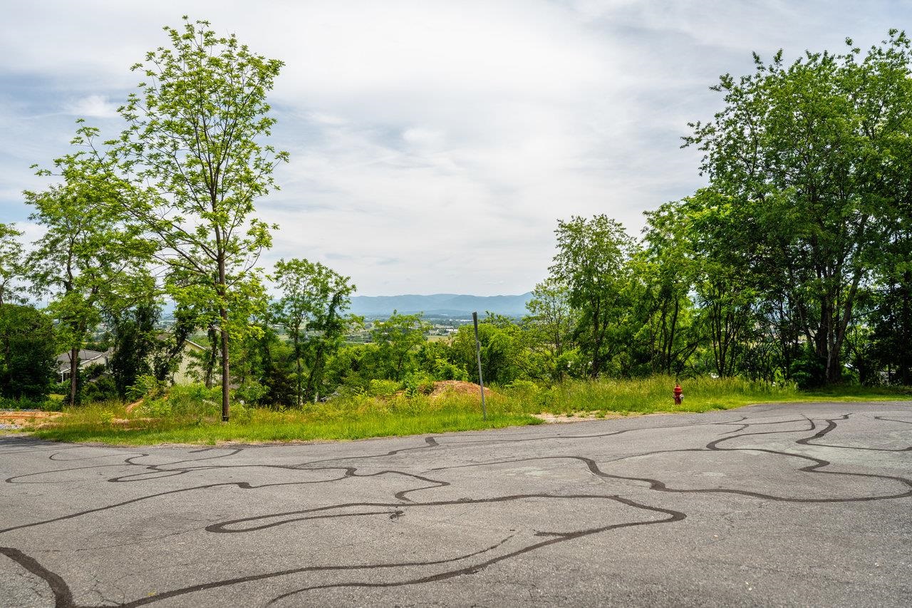 Valley View Dr, Mount Sidney, VA 24467 - photo 5