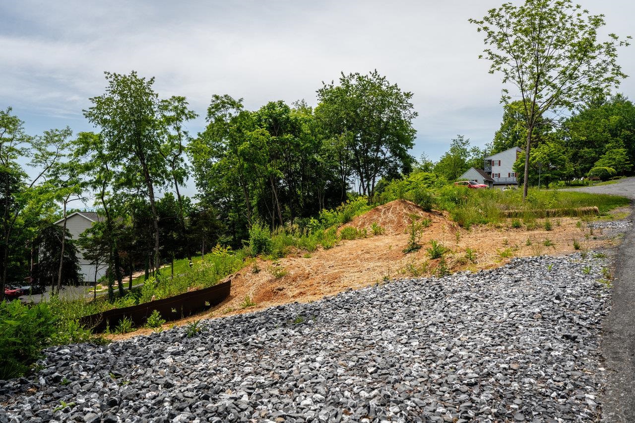 Valley View Dr, Mount Sidney, VA 24467 - photo 6