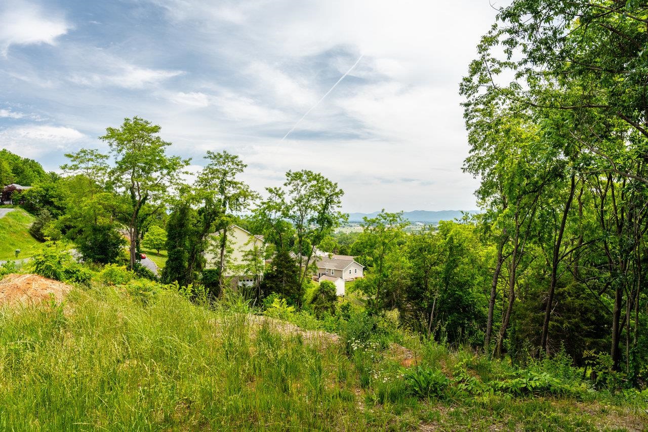 Valley View Dr, Mount Sidney, VA 24467 - photo 9