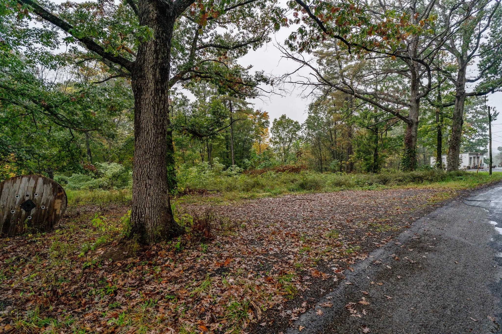 36 Crattan Hill Rd, Mount Crawford, VA 22841 - photo 2